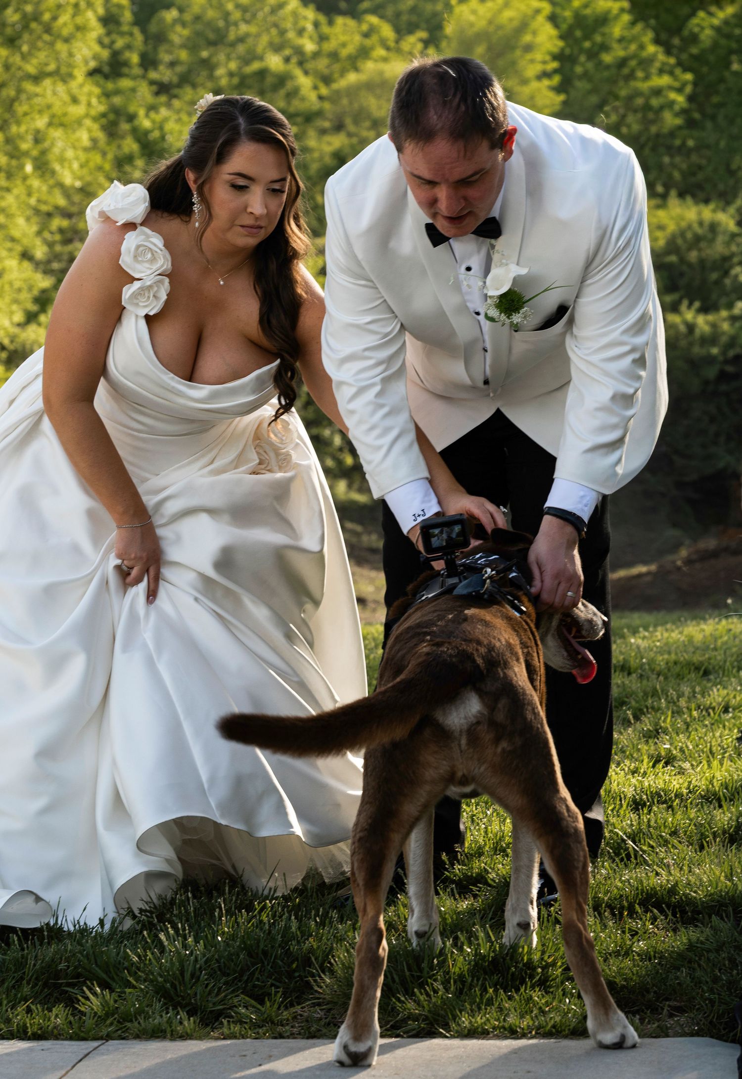Fairytail petcare STL event. St. Louis, MO