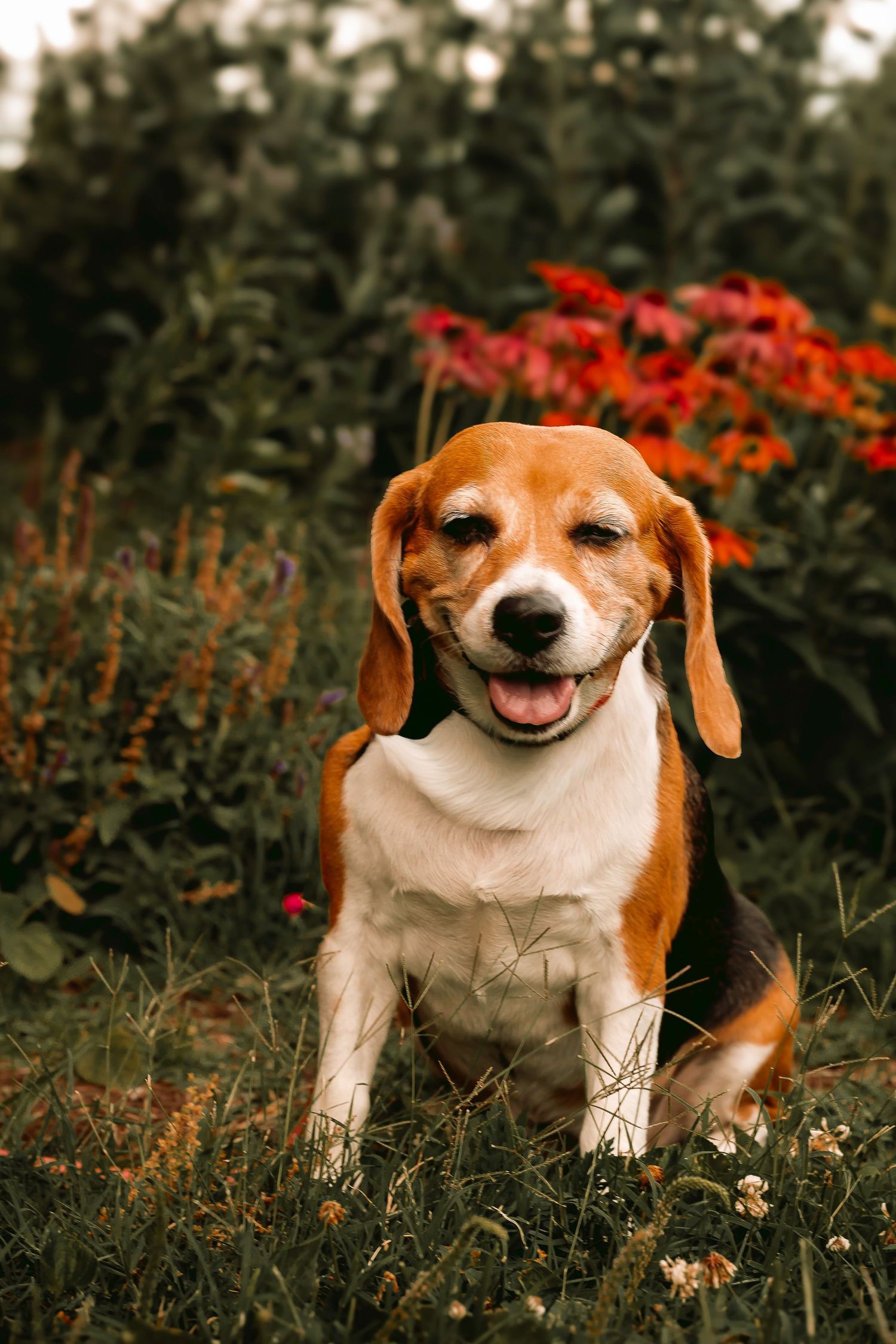Lisa Graf Pet and Family Photography, freezing all family bonds and memories that last a lifetime.