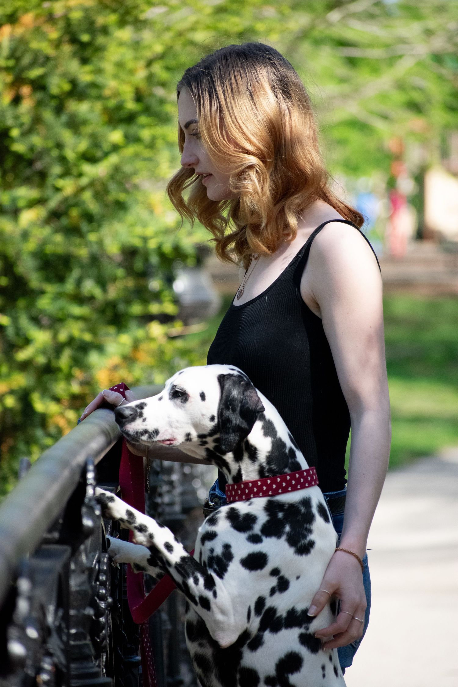 St. Louis lifestyle & pet photographer, Lisa Graf Photography in Lafayette Park