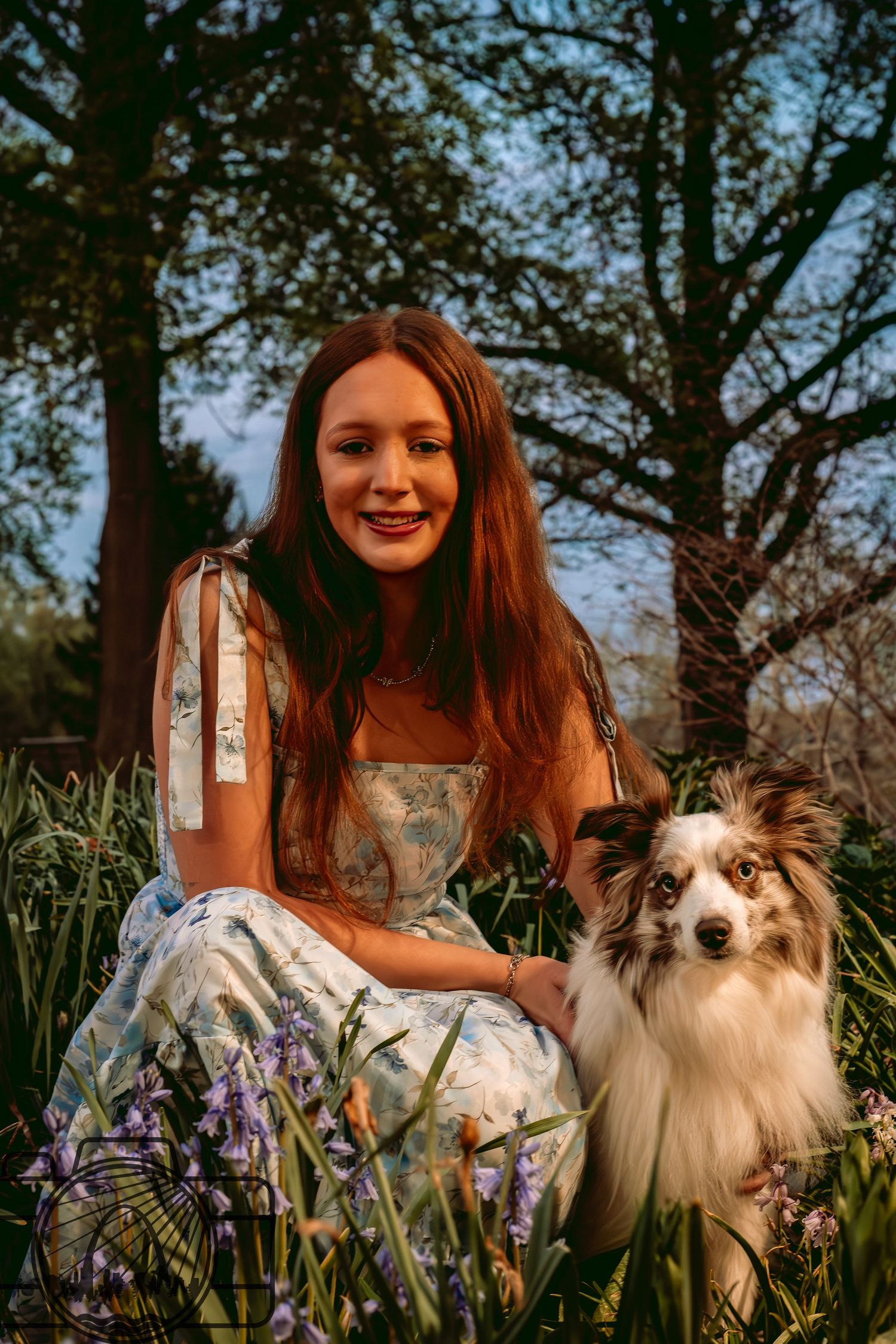Lisa Graf Pet and Family Photography, sunrise pawtraits.