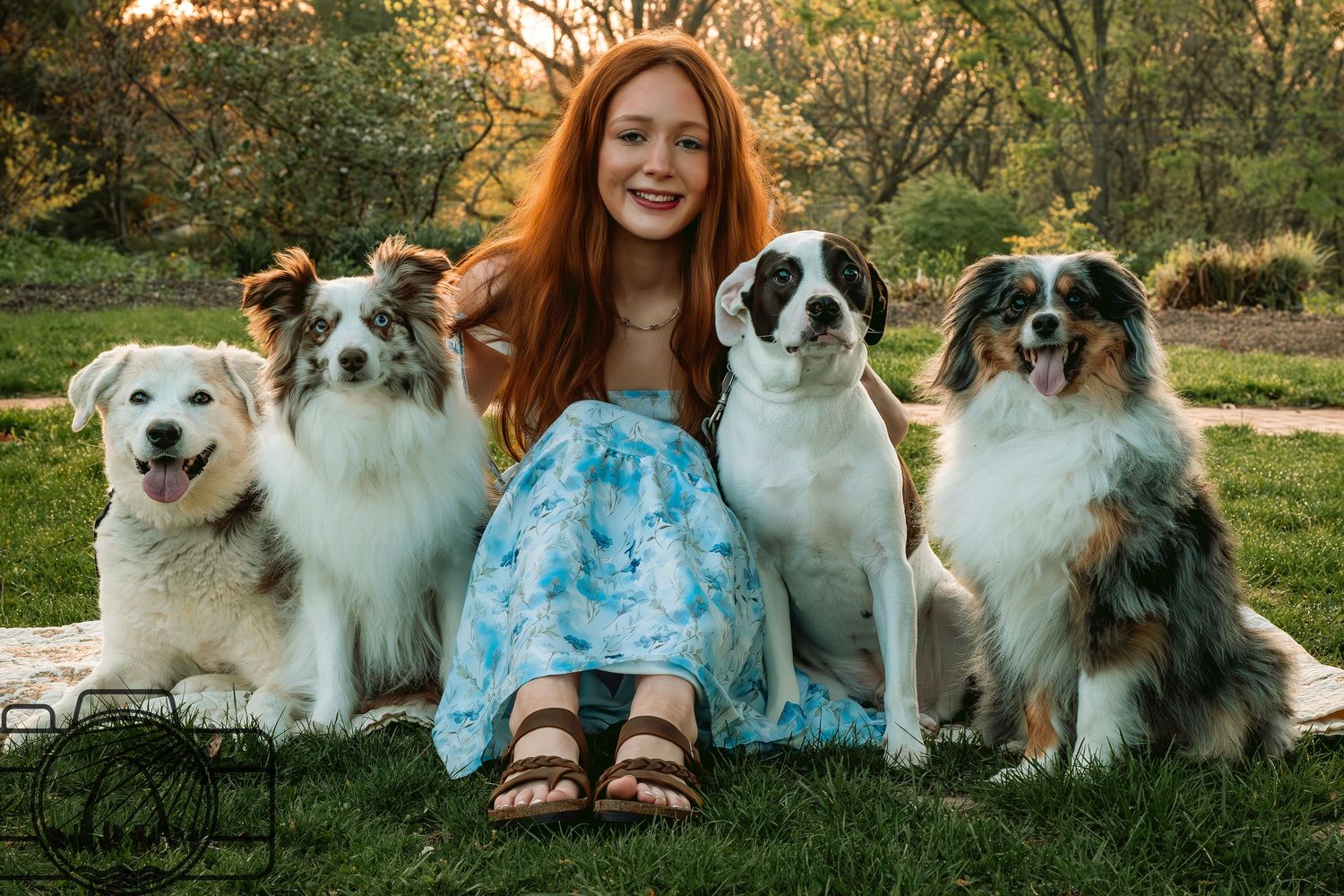Lisa Graf Pet and Family Photography, sunrise pawtraits.