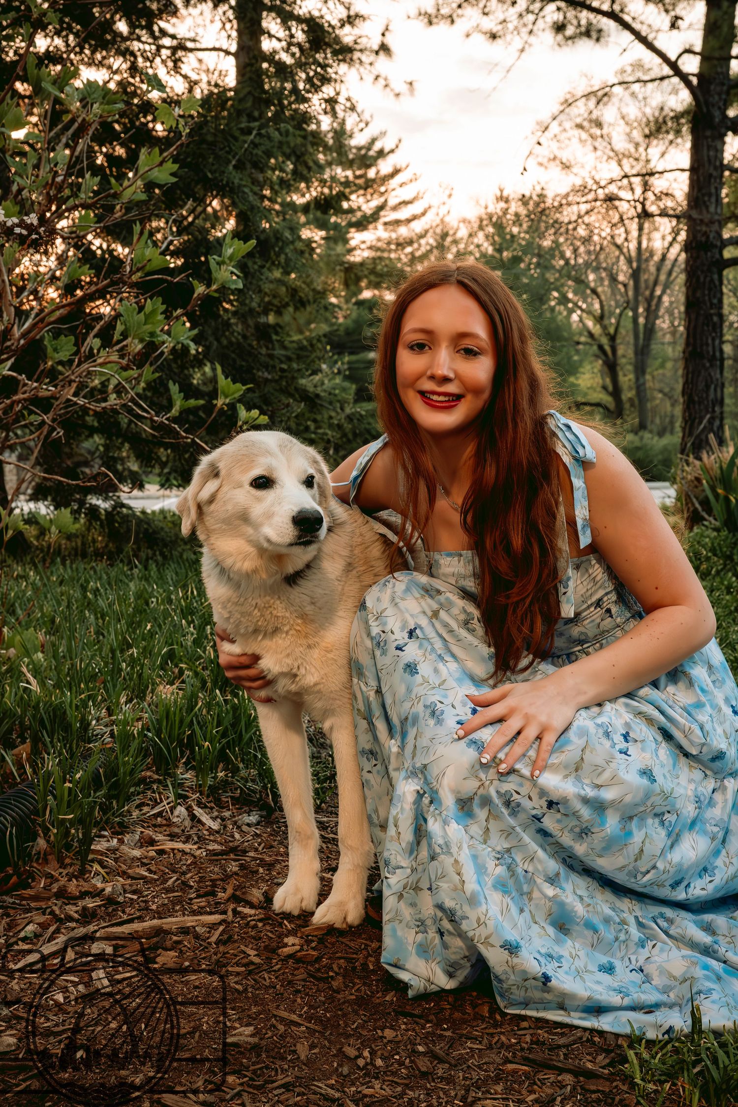 Lisa Graf Pet and Family Photography, sunrise pawtraits.