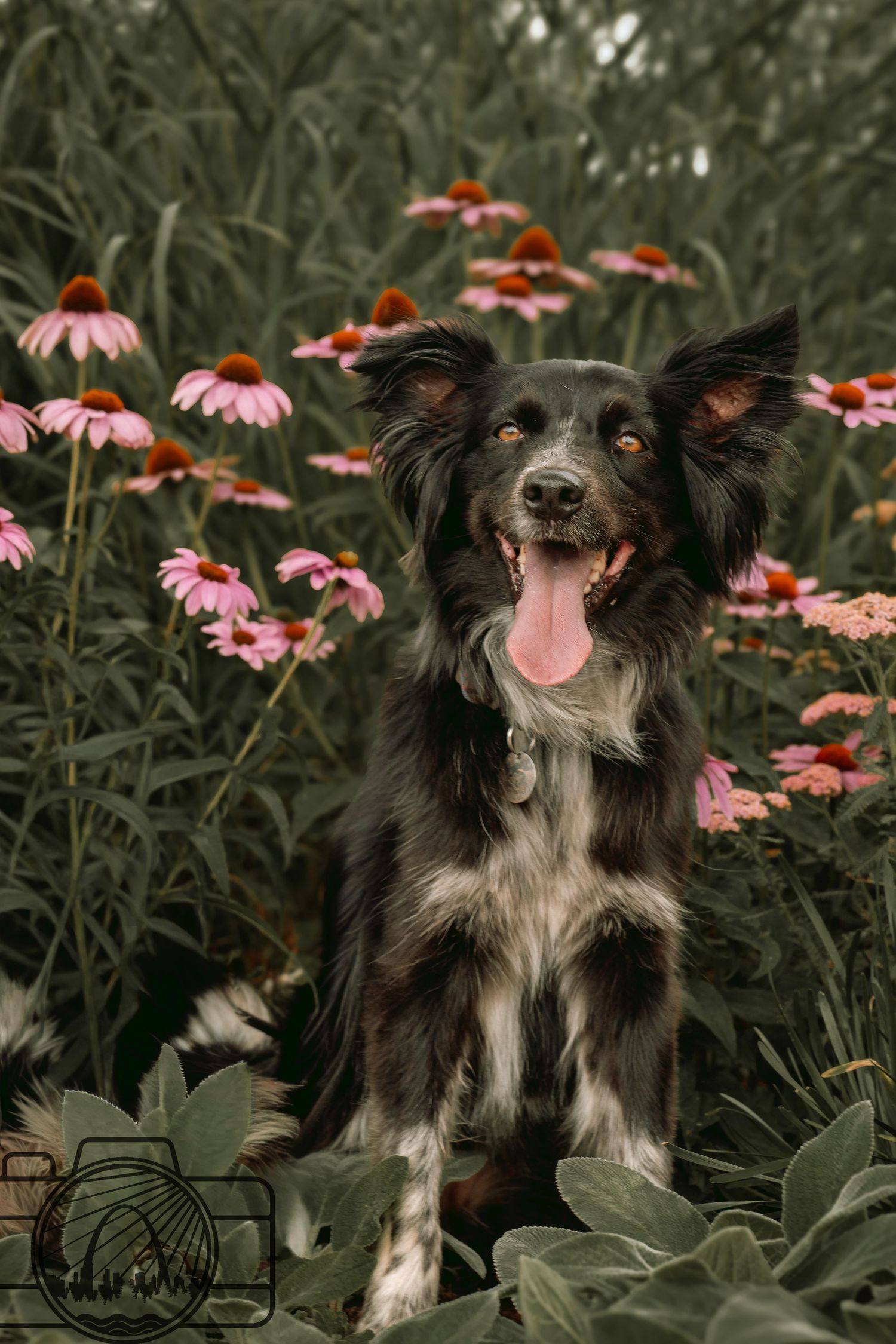 Lisa Graf Pet and Family Photography, freezing all family bonds and memories that last a lifetime.