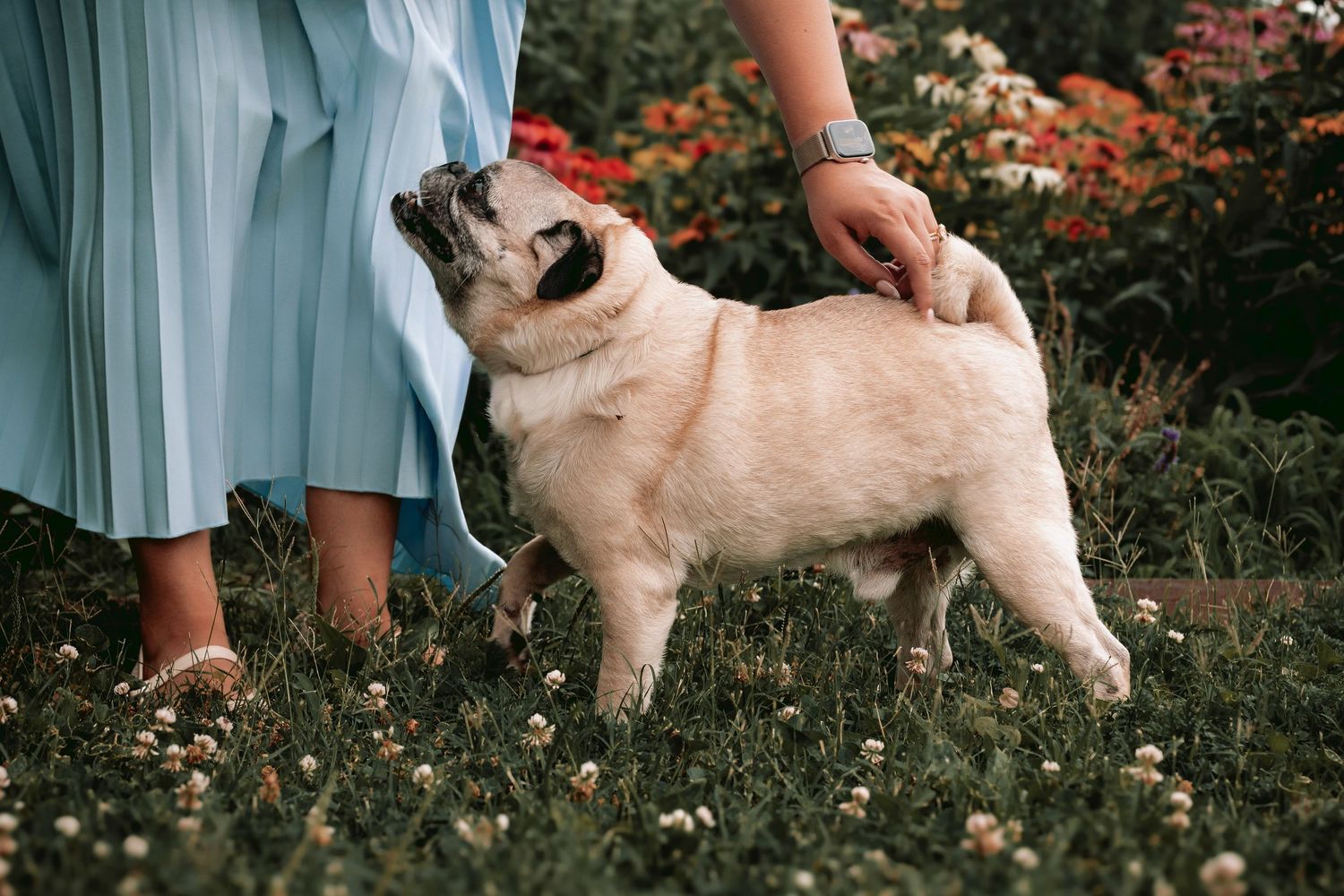 Lisa Graf Pet and Family Photography, freezing all family bonds and memories that last a lifetime.