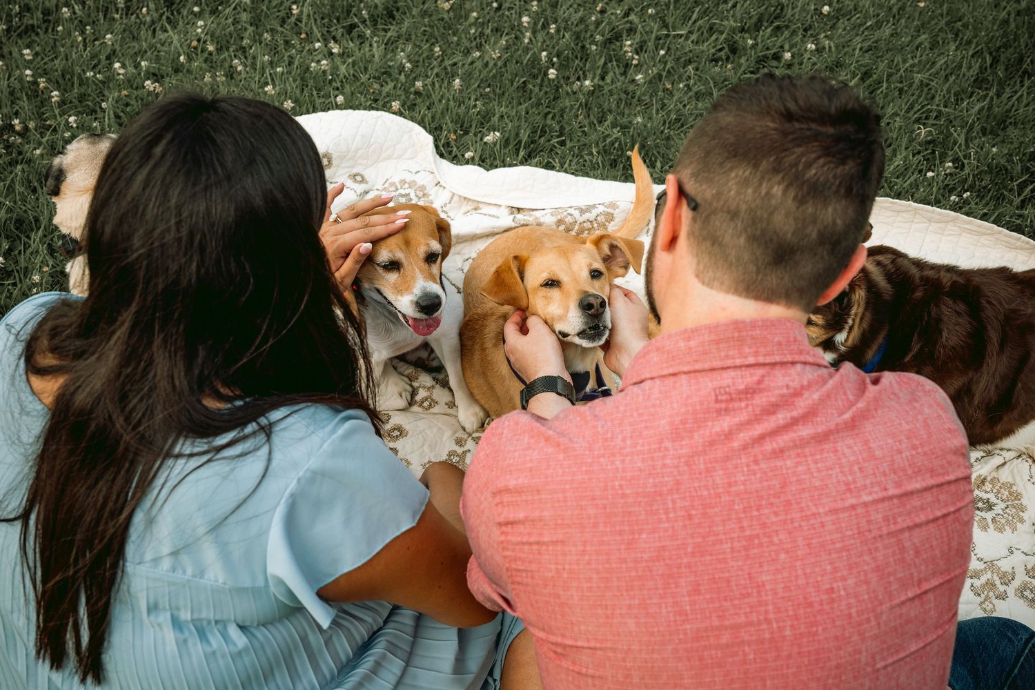 Lisa Graf Pet and Family Photography, freezing all family bonds and memories that last a lifetime.