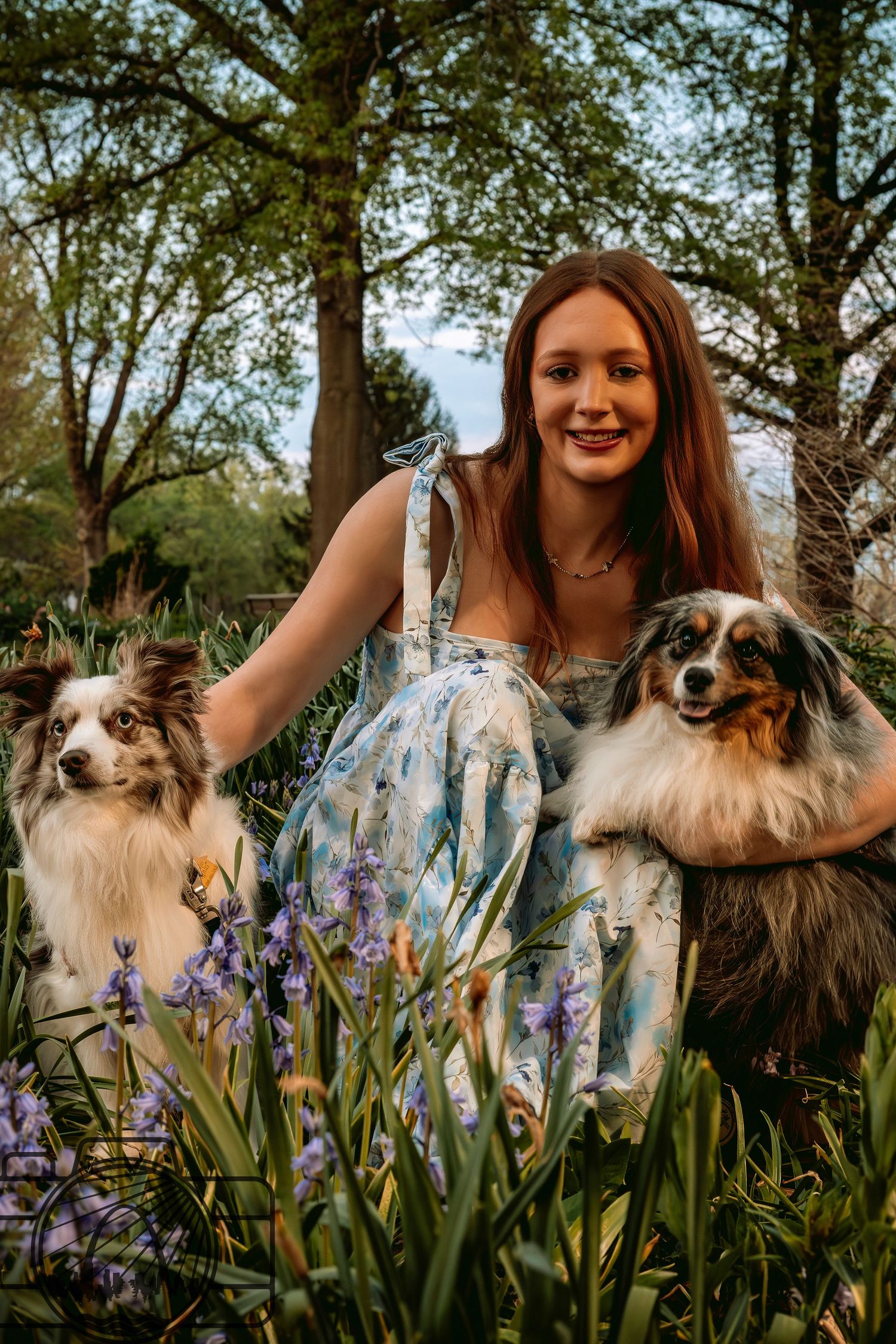 Lisa Graf Pet and Family Photography, sunrise pawtraits.