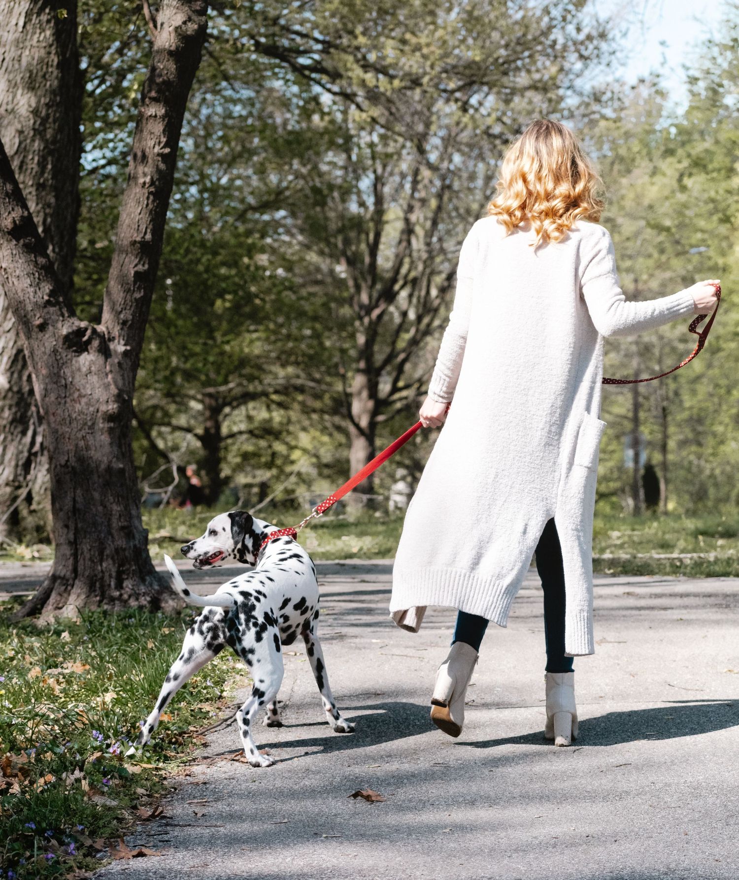 St. Louis lifestyle & pet photographer, Lisa Graf Photography in Lafayette Park