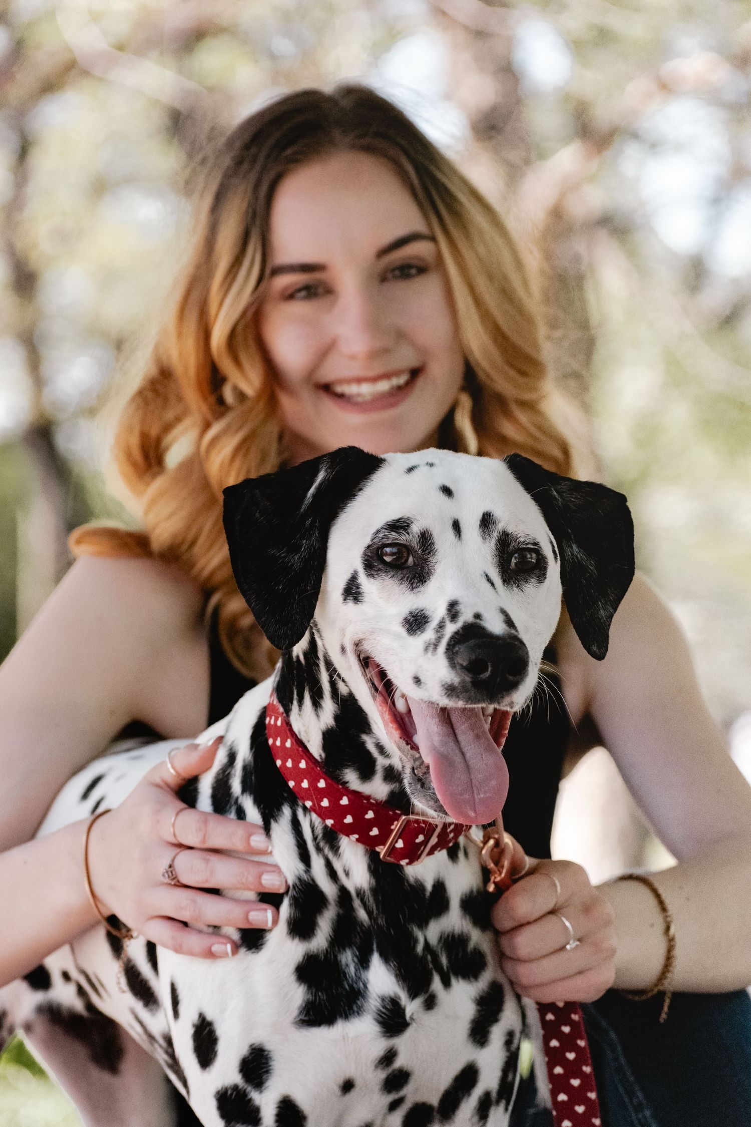St. Louis lifestyle & pet photographer, Lisa Graf Photography in Lafayette Park