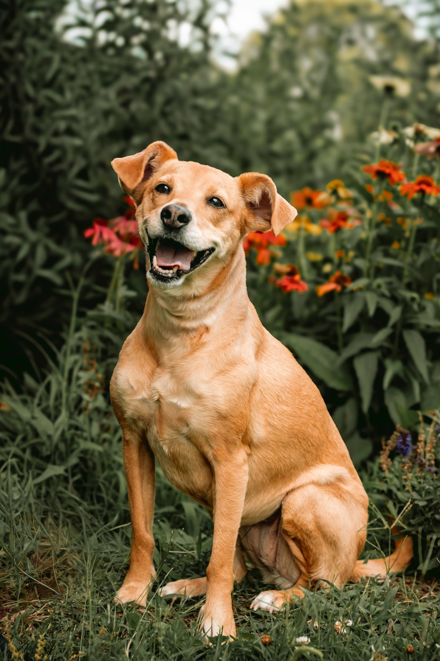 Lisa Graf Pet and Family Photography, freezing all family bonds and memories that last a lifetime.