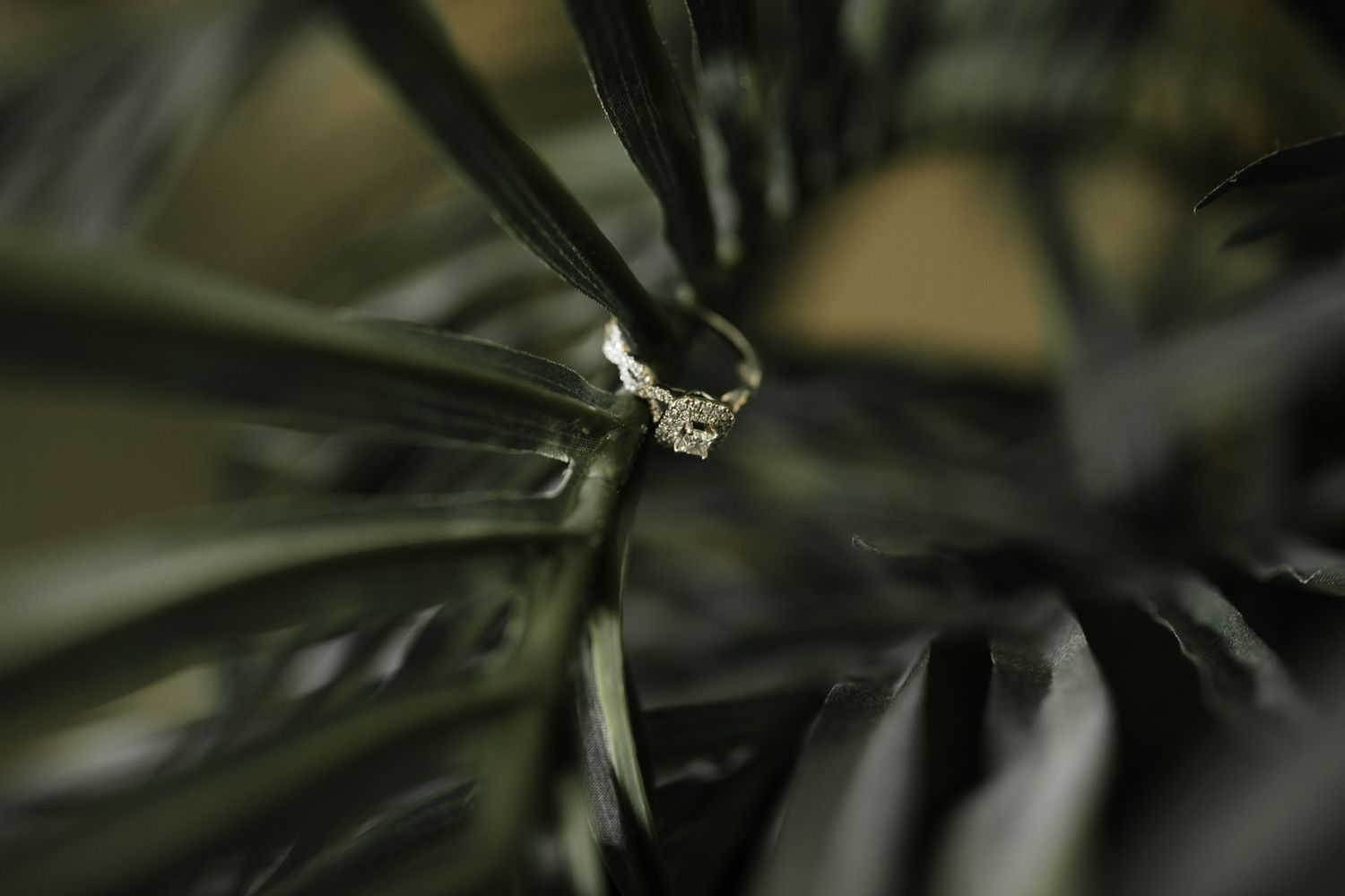 A diamond engagement ring nestled among dark green tropical plant leaves.
