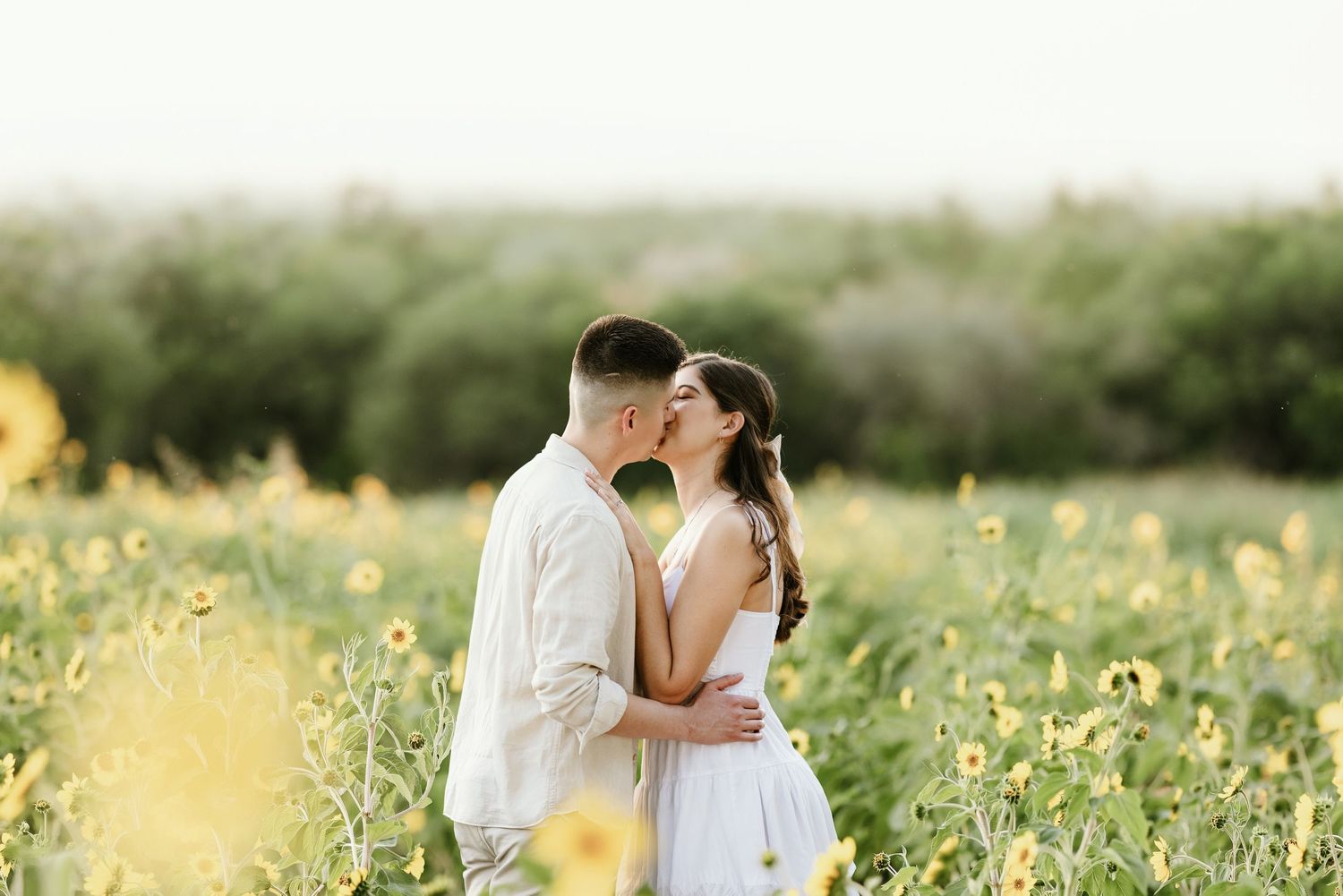 Couple sharing a kiss in a vibrant sunflower field during a romantic golden hour engagement shoot.