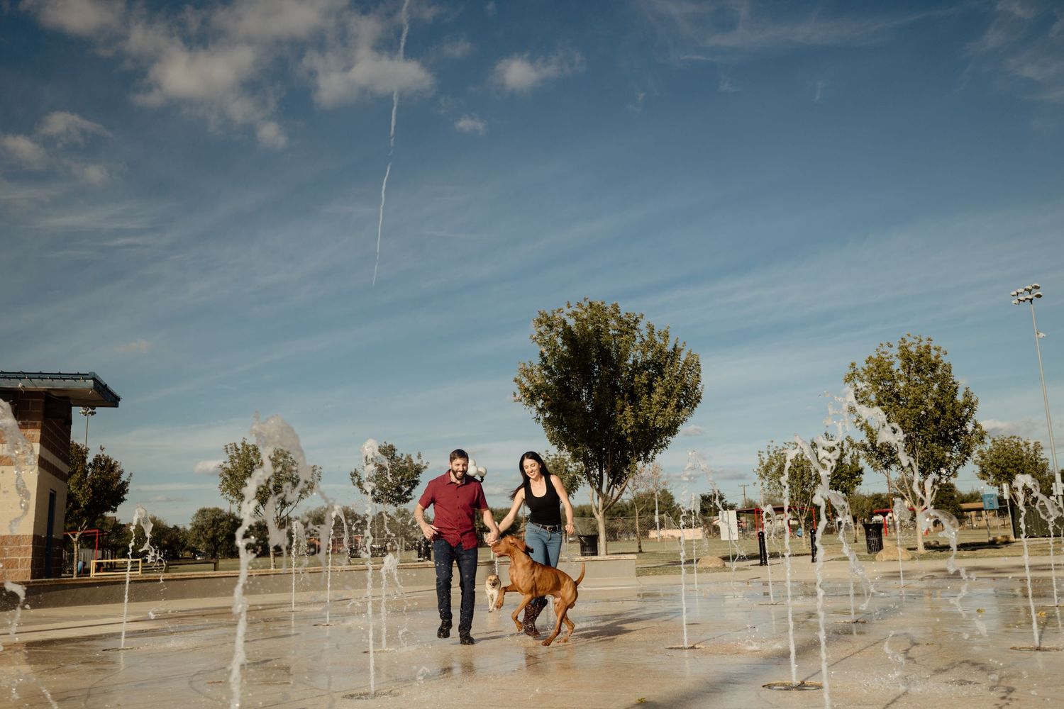 Couple walking a golden dog through a park fountain plaza under a blue sky.