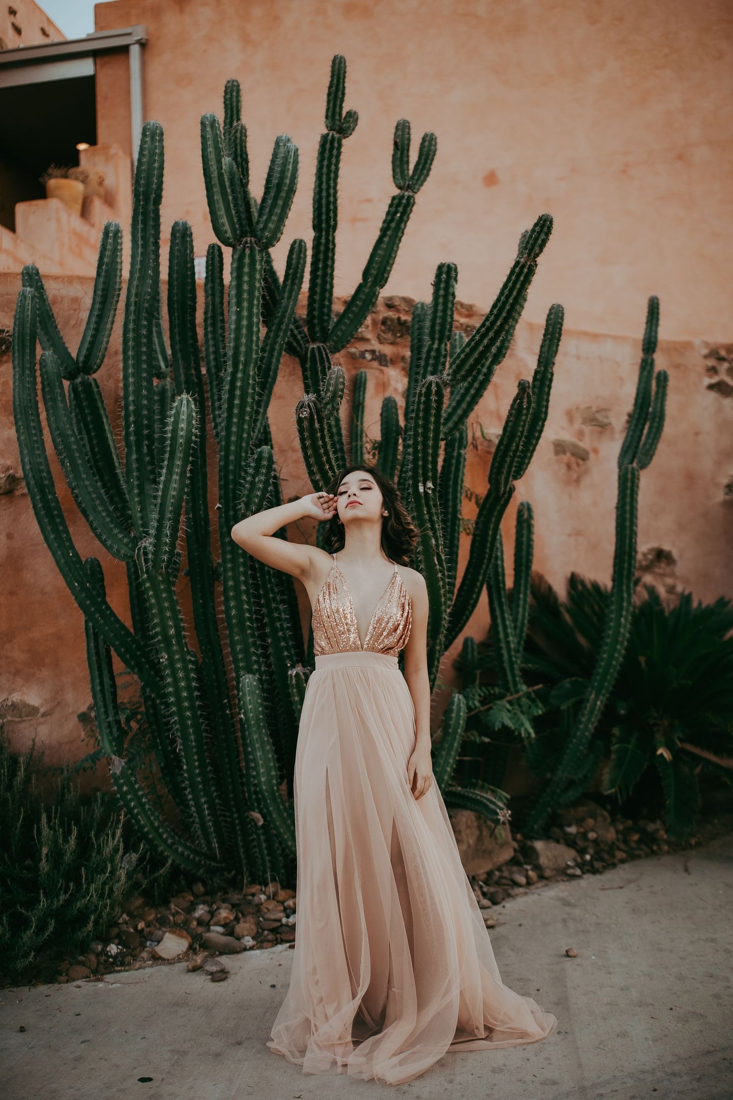 A feminine figure in a flowing blush gown poses dramatically against tall desert cactus plants and a textured wall.
