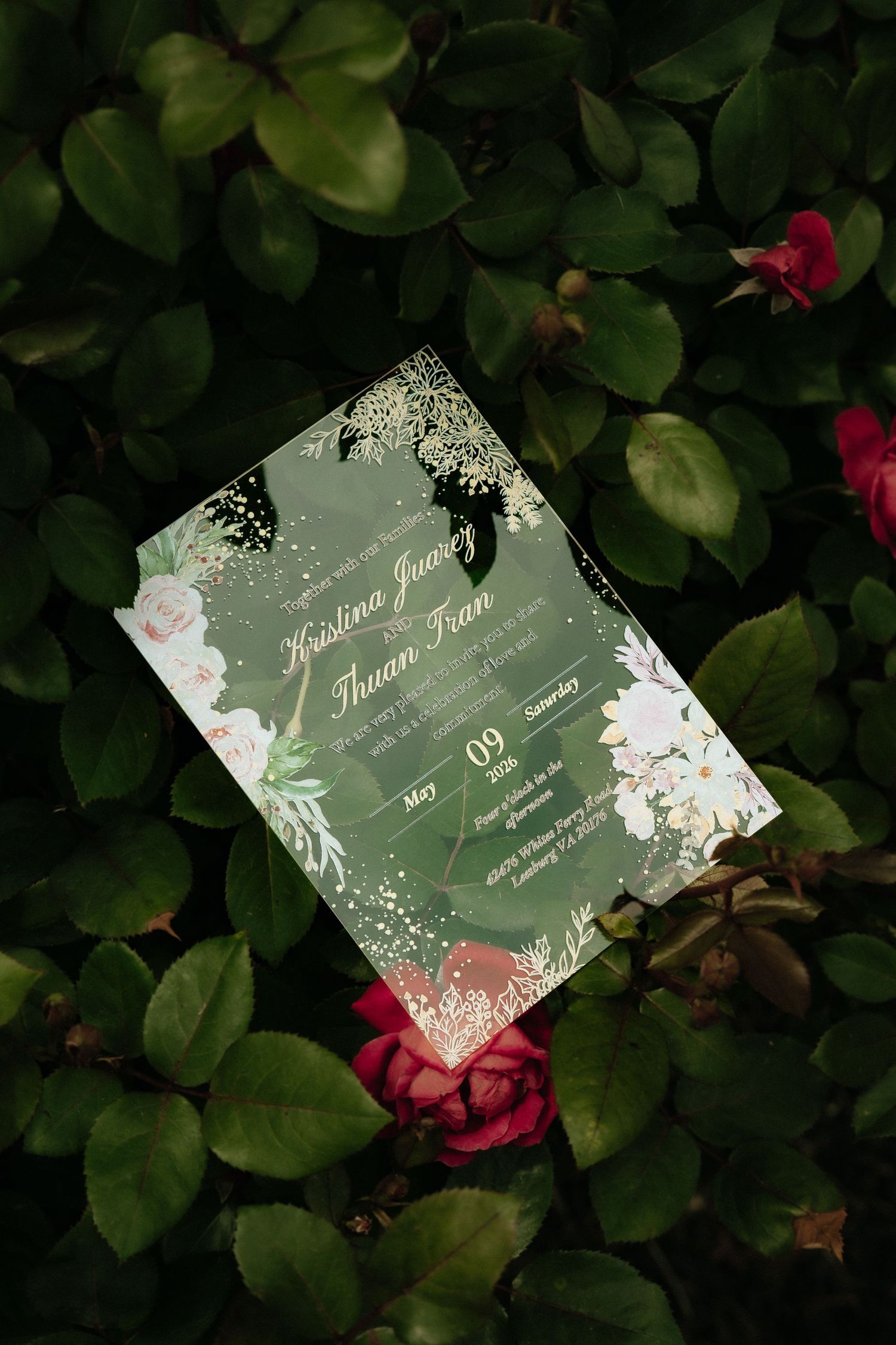 Green floral wedding invitation for Kristina Jones and Thuan Tran, May 9 Saturday, resting among lush green leaves and red roses.