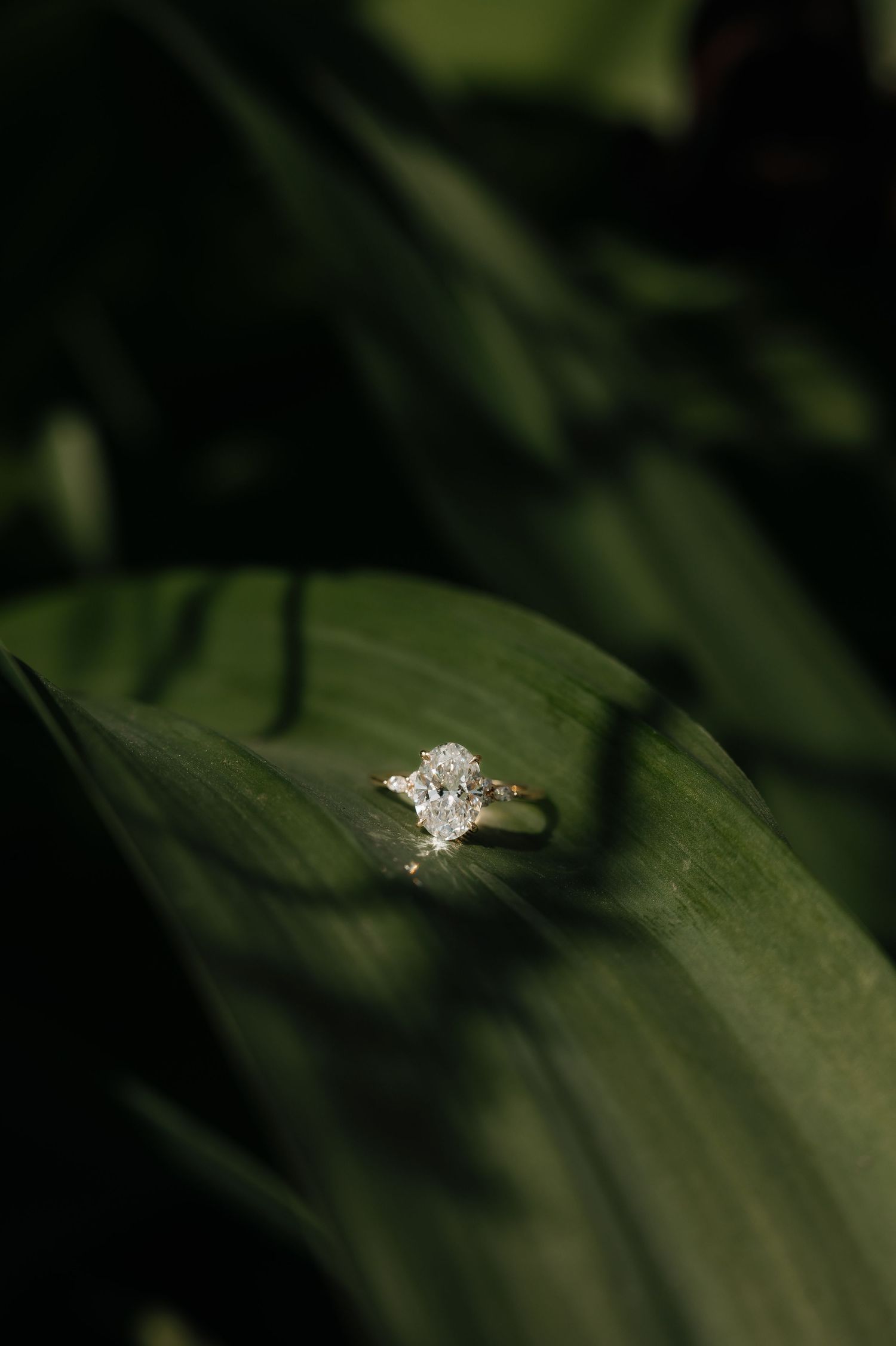 Gold engagement ring with oval diamond solitaire resting on lush green tropical leaf in natural light.
