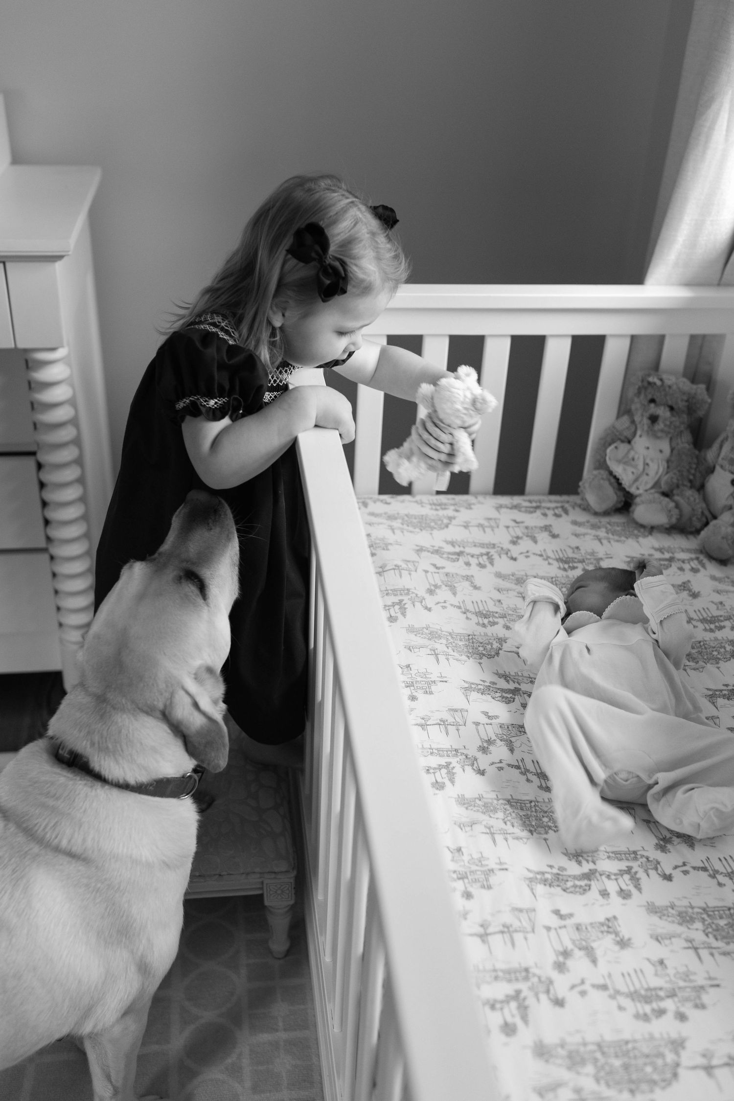 Dog watching over baby's crib in black and white photograph.