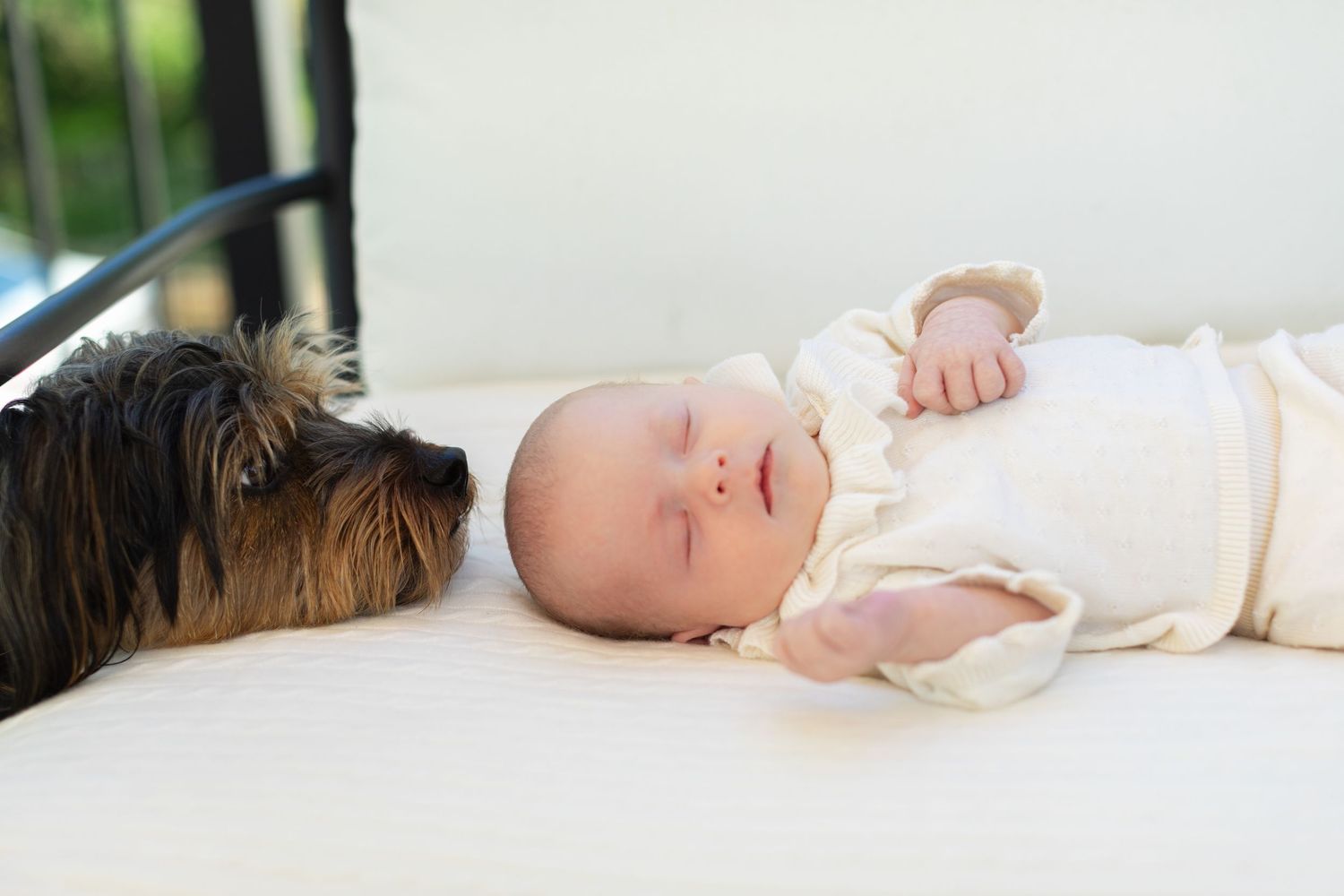 A sleeping newborn baby in white clothing lies peacefully next to a Yorkshire Terrier dog on a white cushioned surface.
