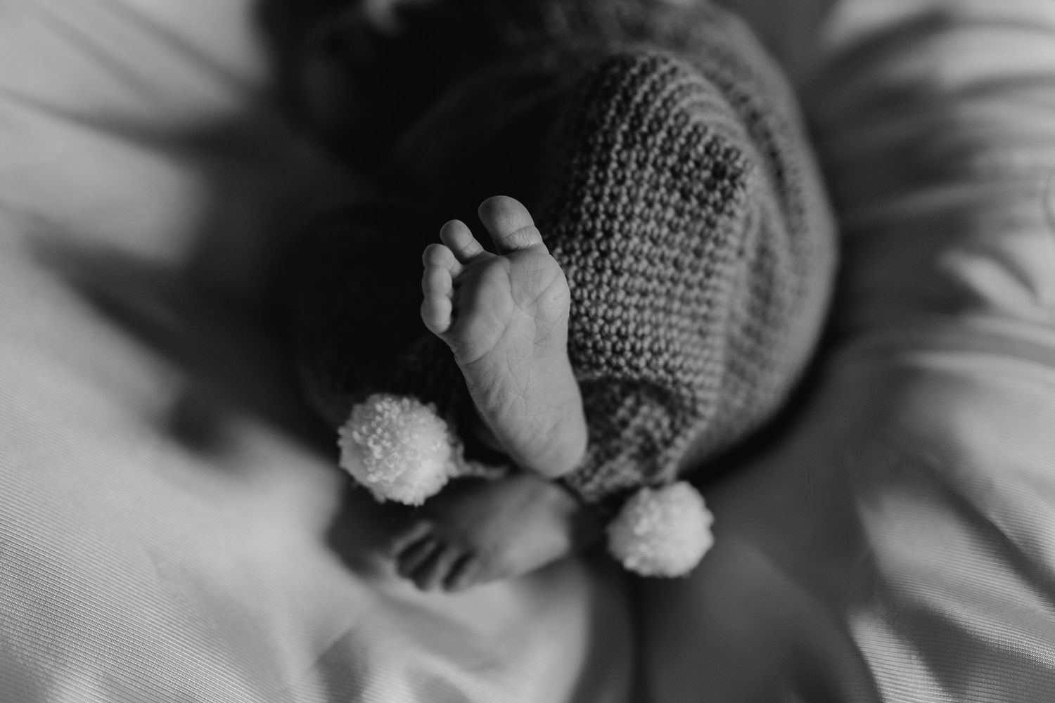 newborn