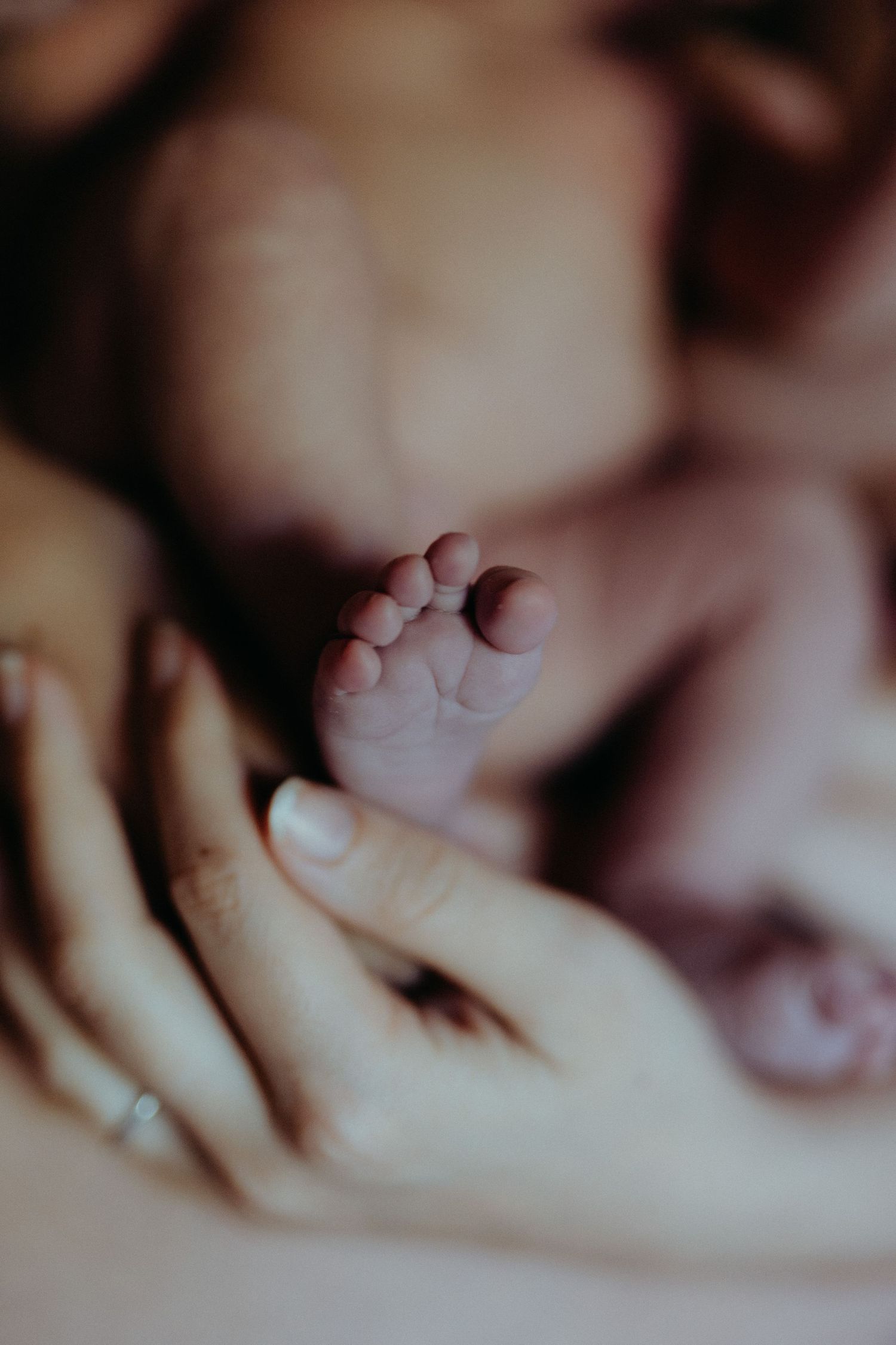 newborn