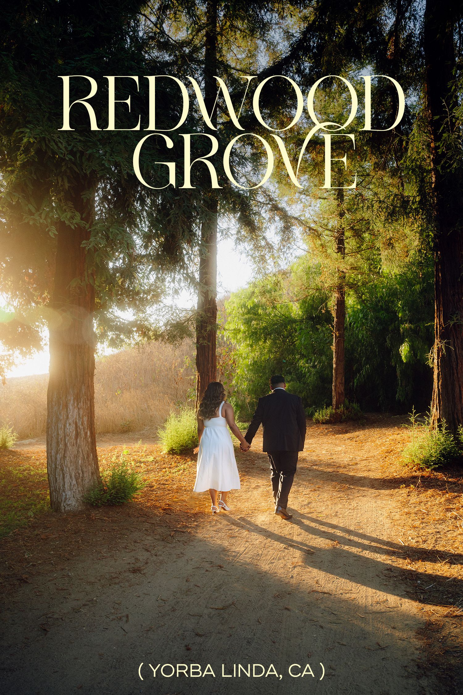 engaged couple walking threw the redwood grove located in yorba linda california while the sun rays shine from the side dreamy