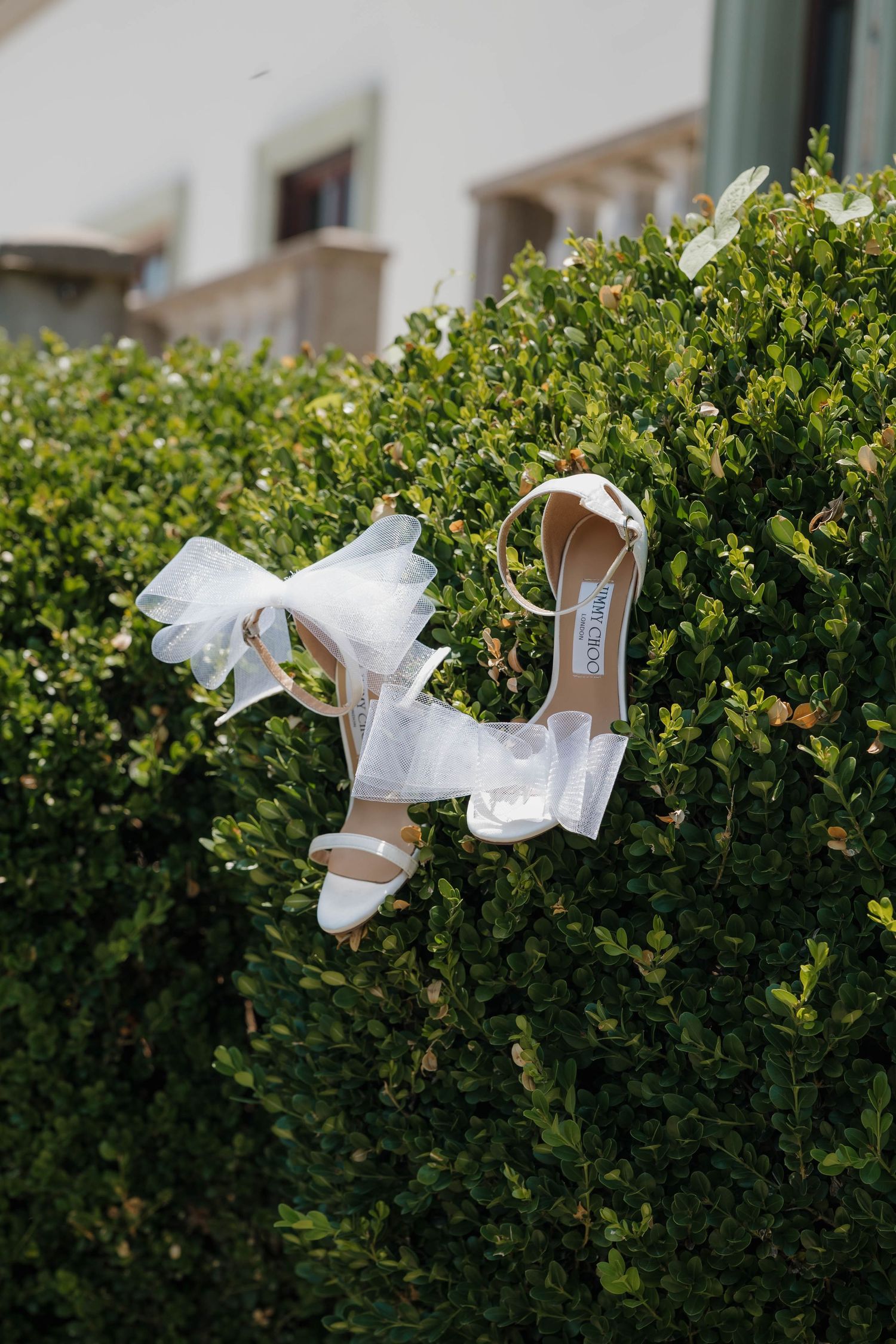 White bridal shoes with bows displayed creatively on green hedge foliage.