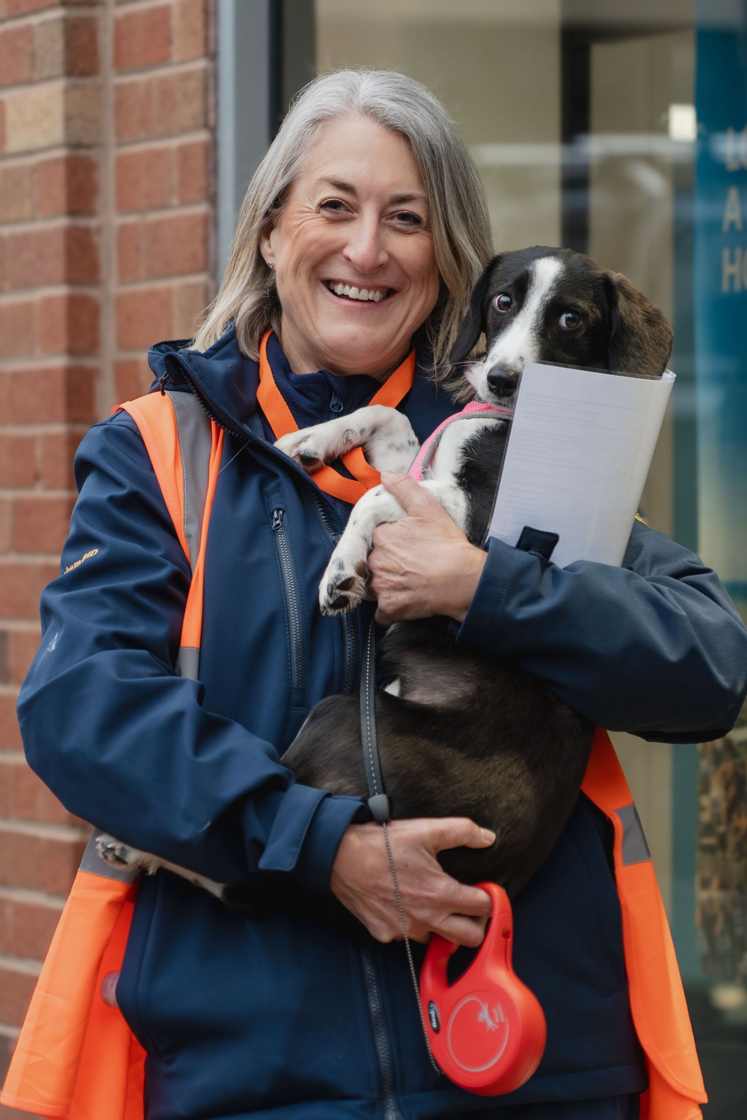 Person in blue and orange safety vest holds and pets a black and white border collie dog.