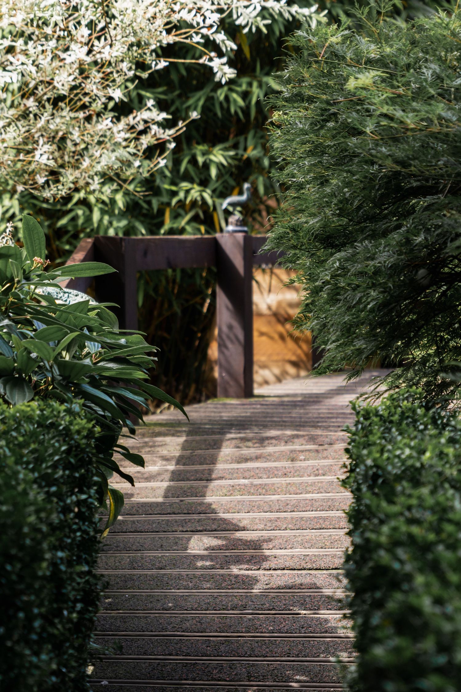 Wooden garden walkway with stone steps leads through lush greenery to a gate framed by flowering bushes.