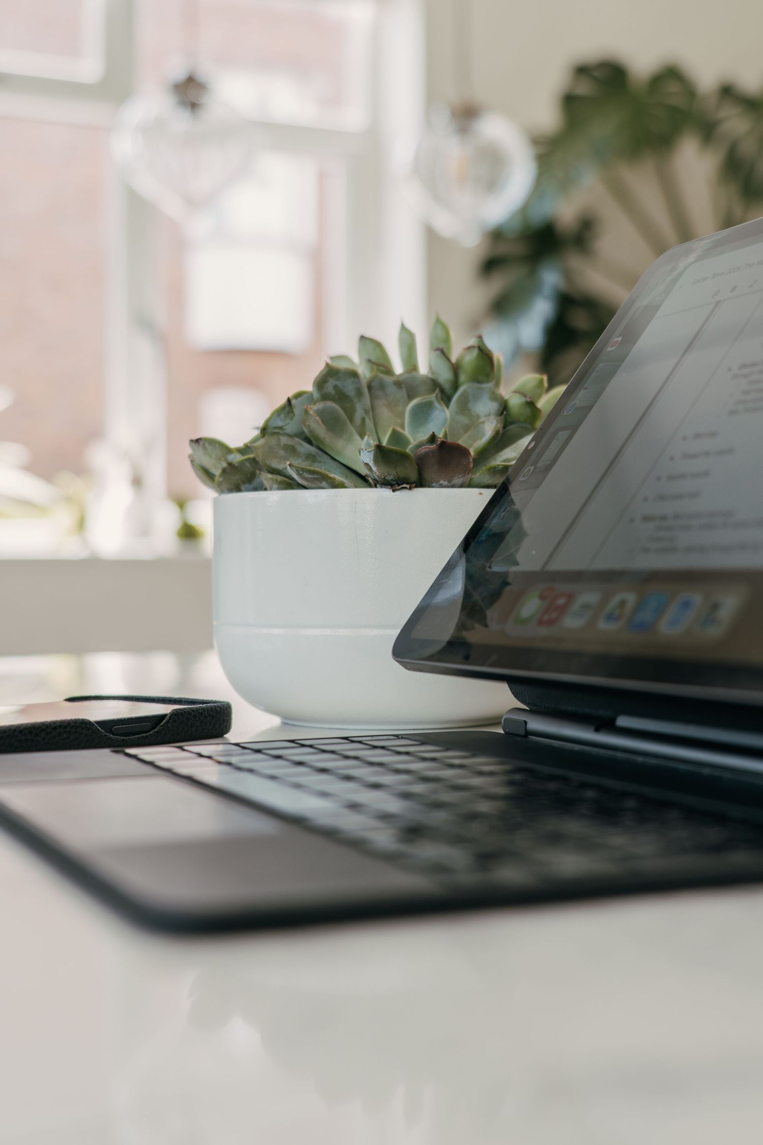 A laptop and white potted succulent plant on a desk with soft natural lighting through nearby windows.