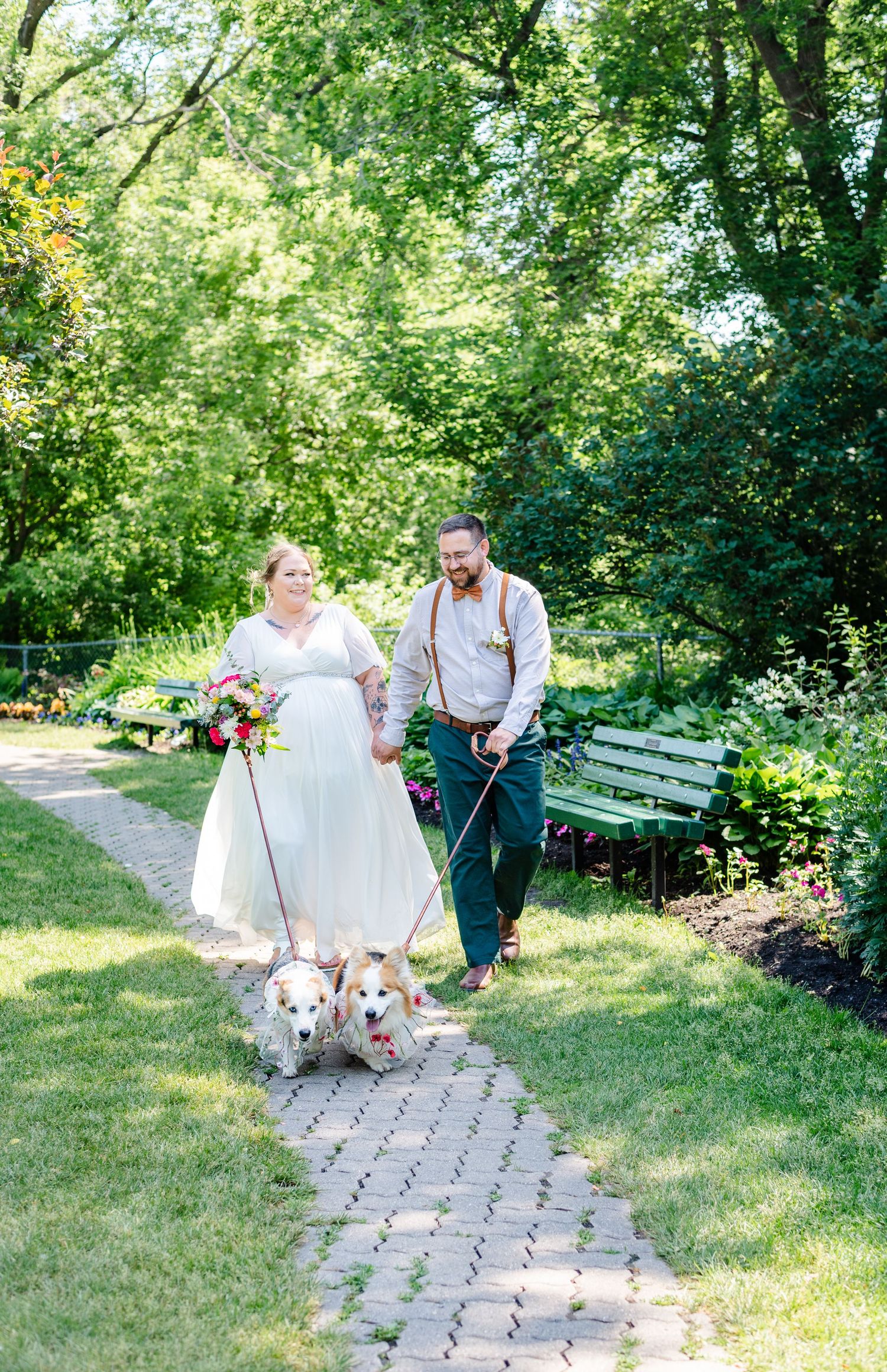 a bride and groom walk their dogs