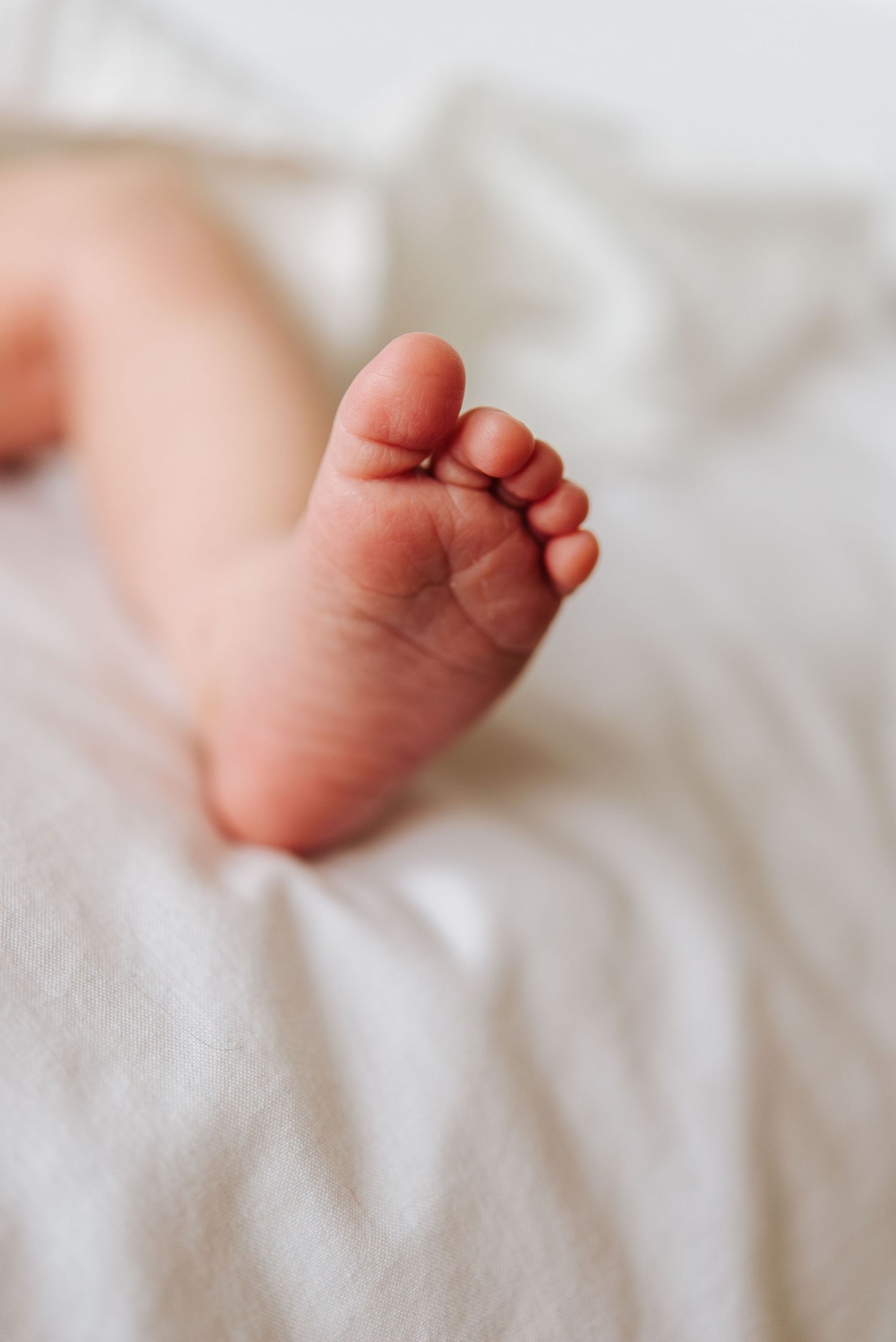Close up of babies toes