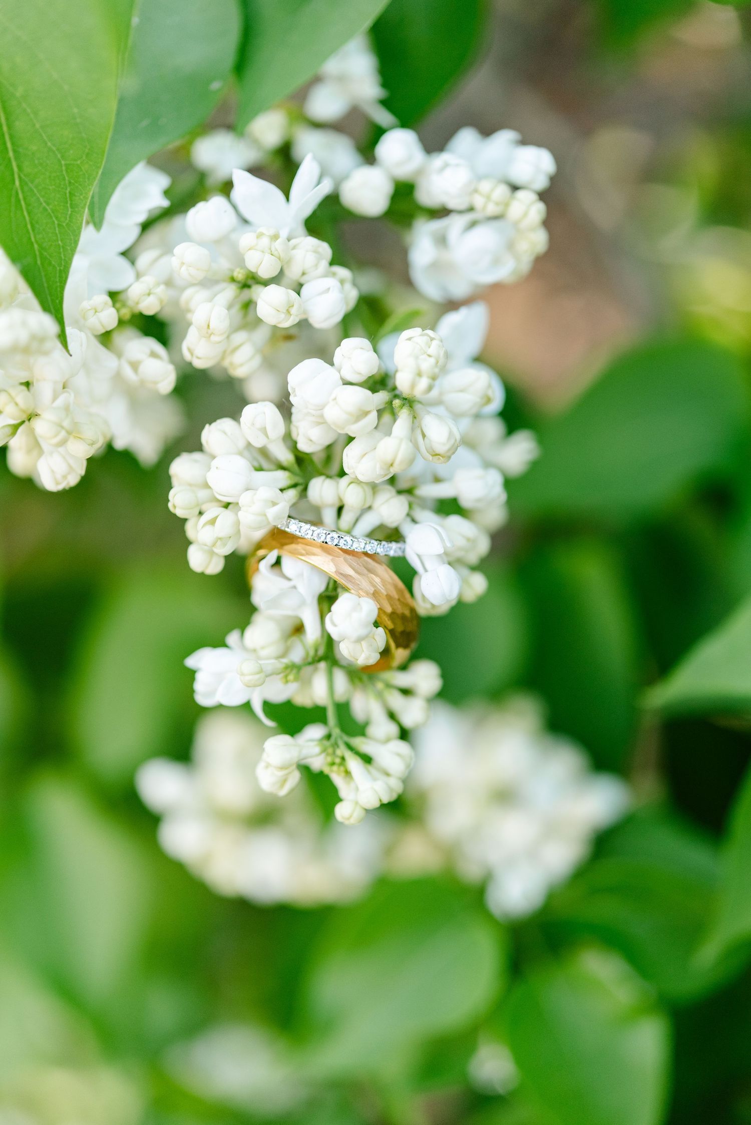 wedding rings sit on lilac bush