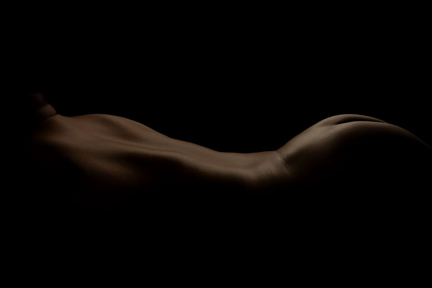 Dark abstract shapes and curves create a minimalist composition against a black background.