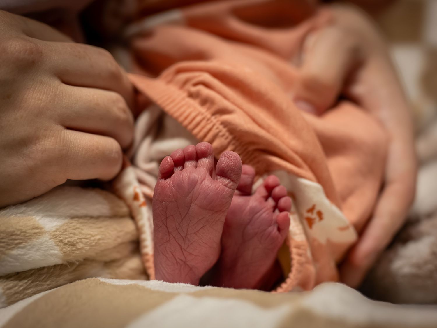 Close-up of tiny newborn baby feet against peach-colored fabric.