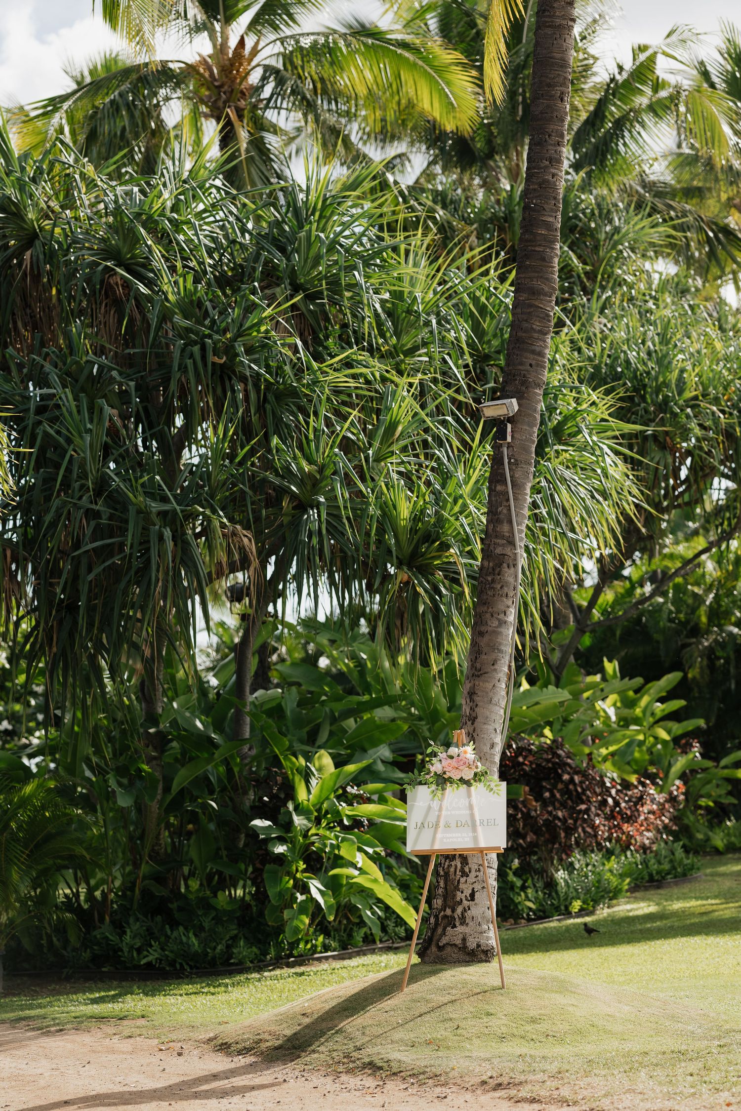 Tropical garden wedding venue with palm trees and lush greenery creating a natural backdrop.