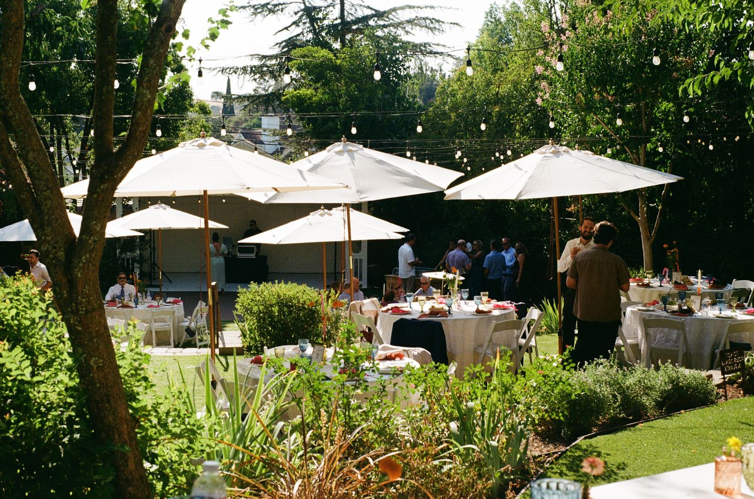 White market umbrellas provide shade on a sunny patio surrounded by lush greenery and garden landscaping in summer.