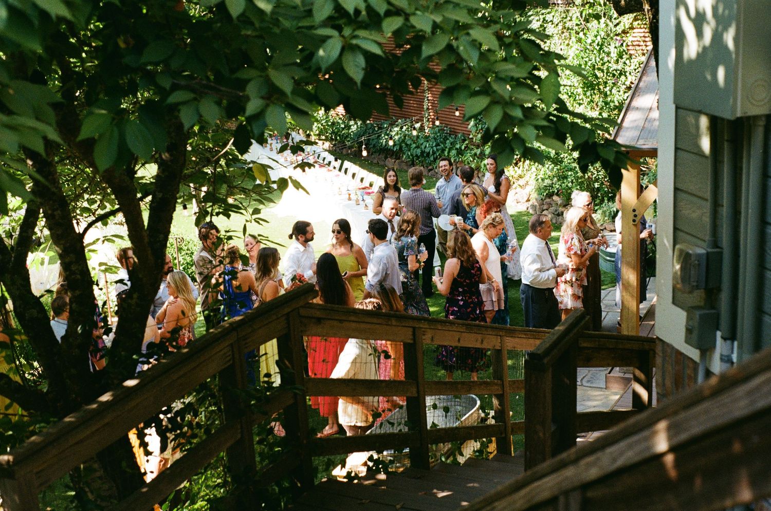 Students gather under leafy trees in an outdoor campus courtyard during a sunny afternoon.