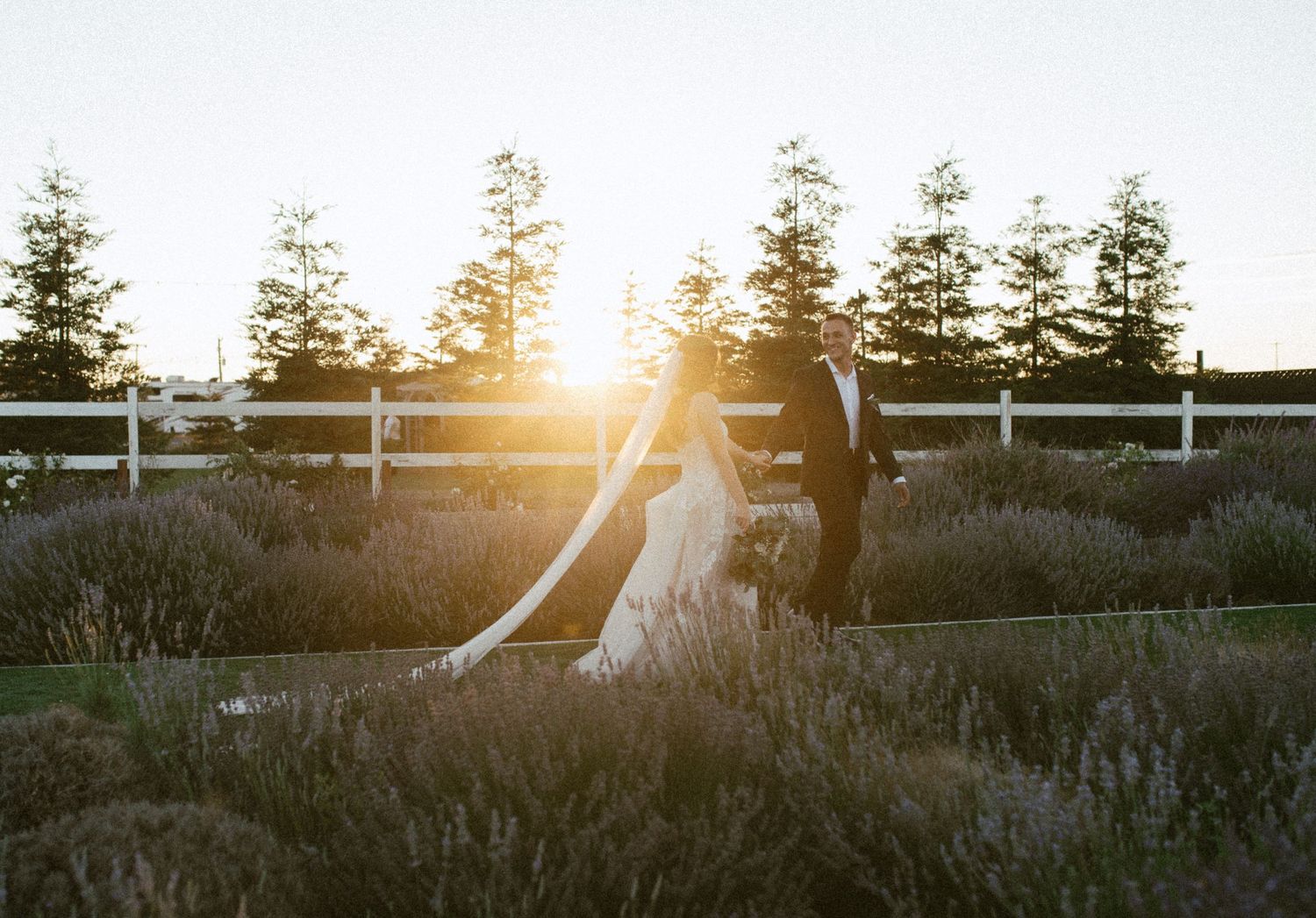 Sunset casts golden light over white fences and evergreen trees at wedding venue.