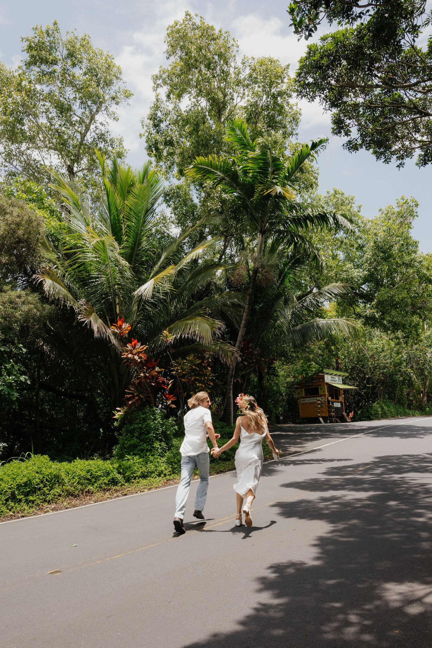 Palm tree lined pathway captured in sequence showing movement across frame.