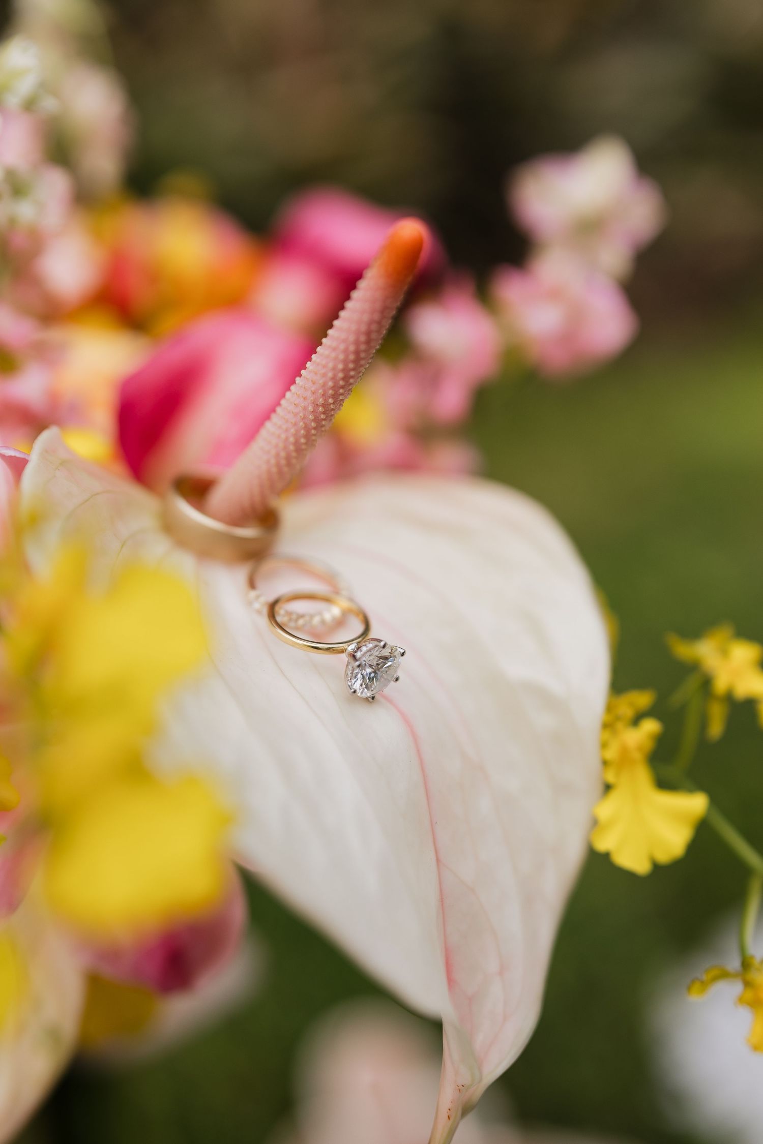 Gold wedding bands and diamond engagement ring resting on a white anthurium flower surrounded by colorful blooms.
