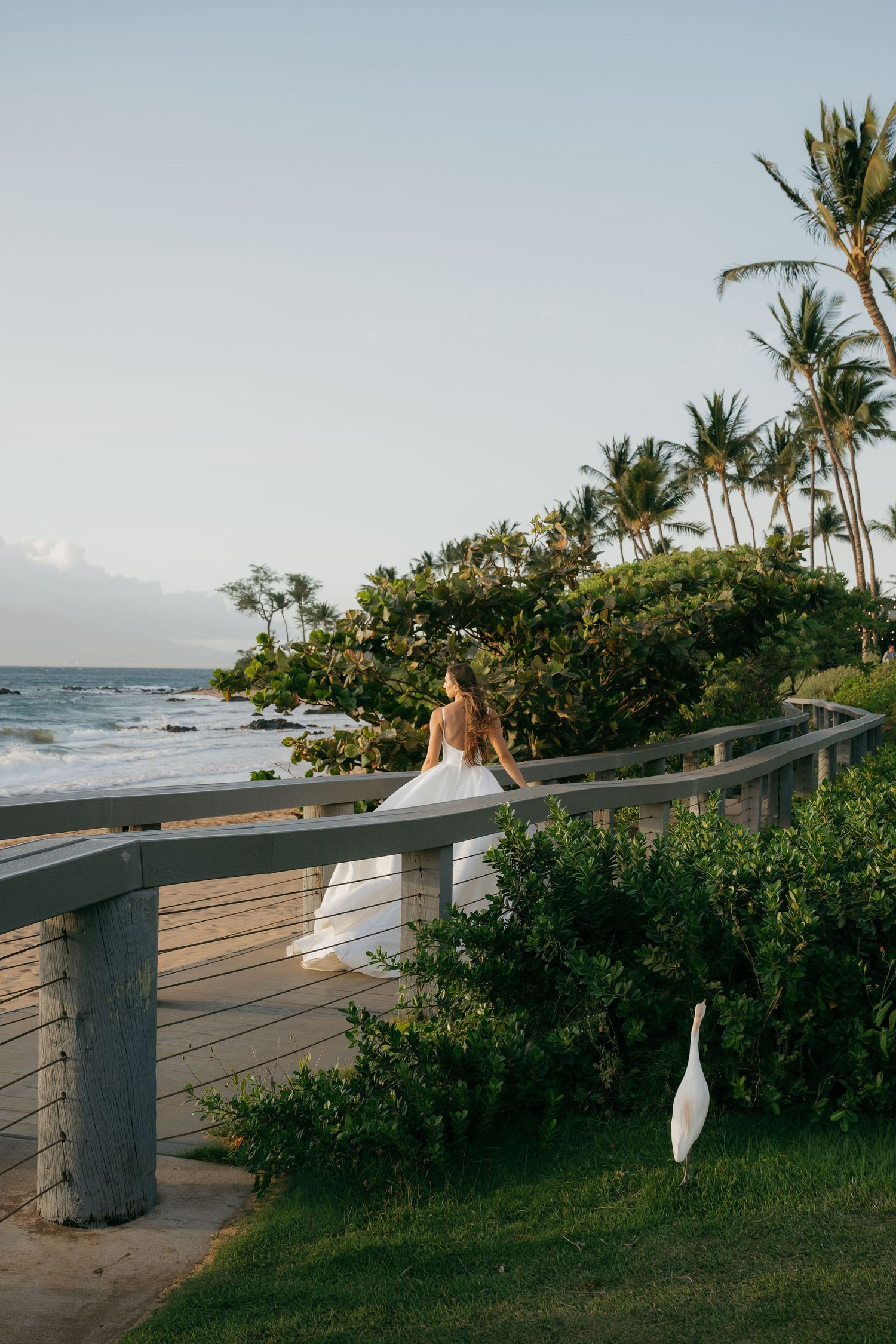 A scenic oceanfront boardwalk with palm trees and tropical foliage along a Hawaiian beach at sunset.