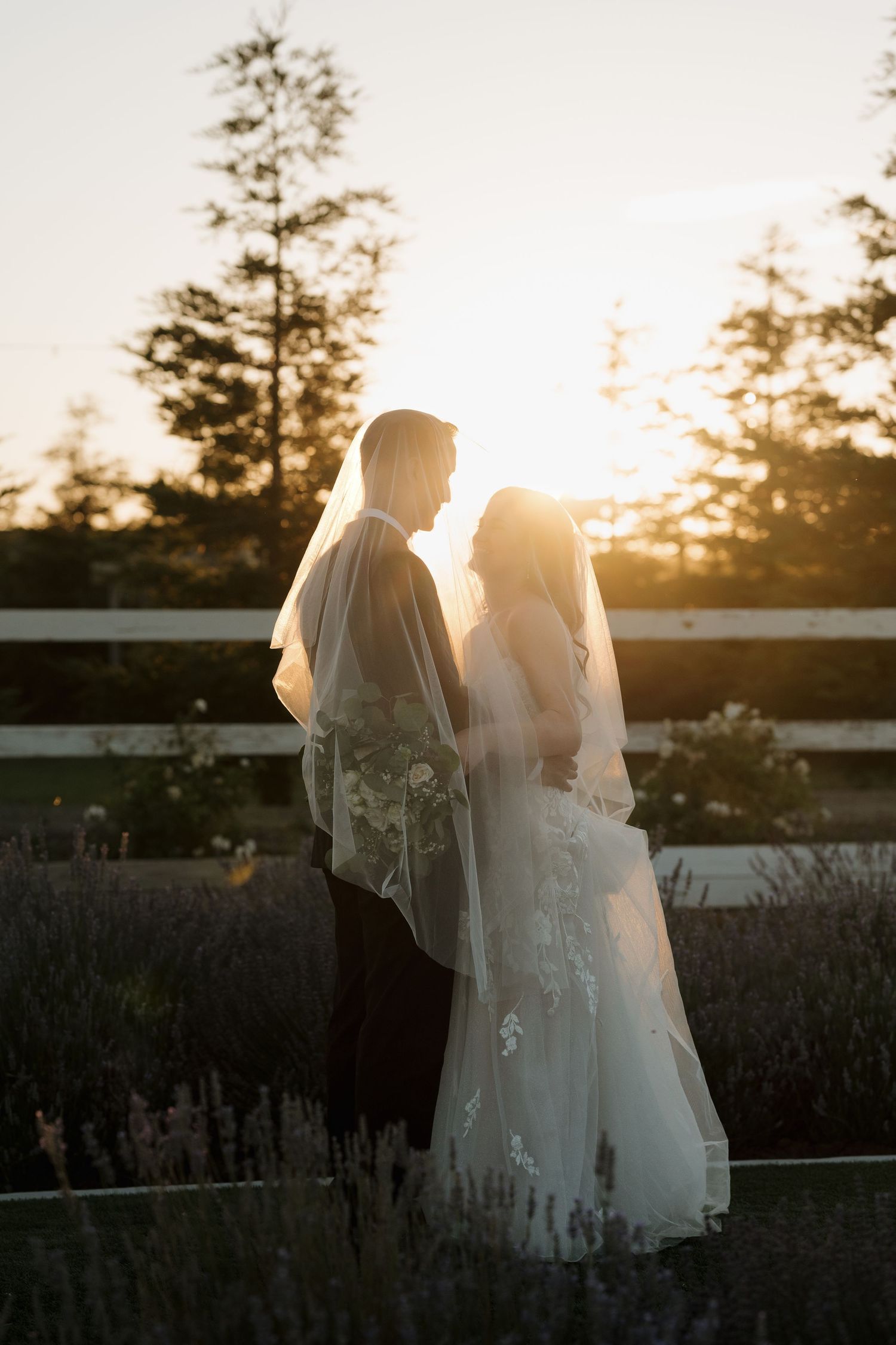 Silhouetted figures in wedding attire stand against a sunset sky amid lavender plants.