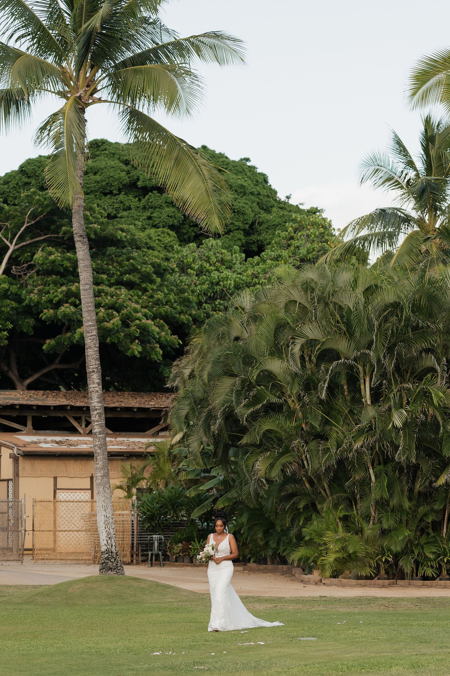 Scenic tropical wedding venue with palm trees and grassy lawn area.