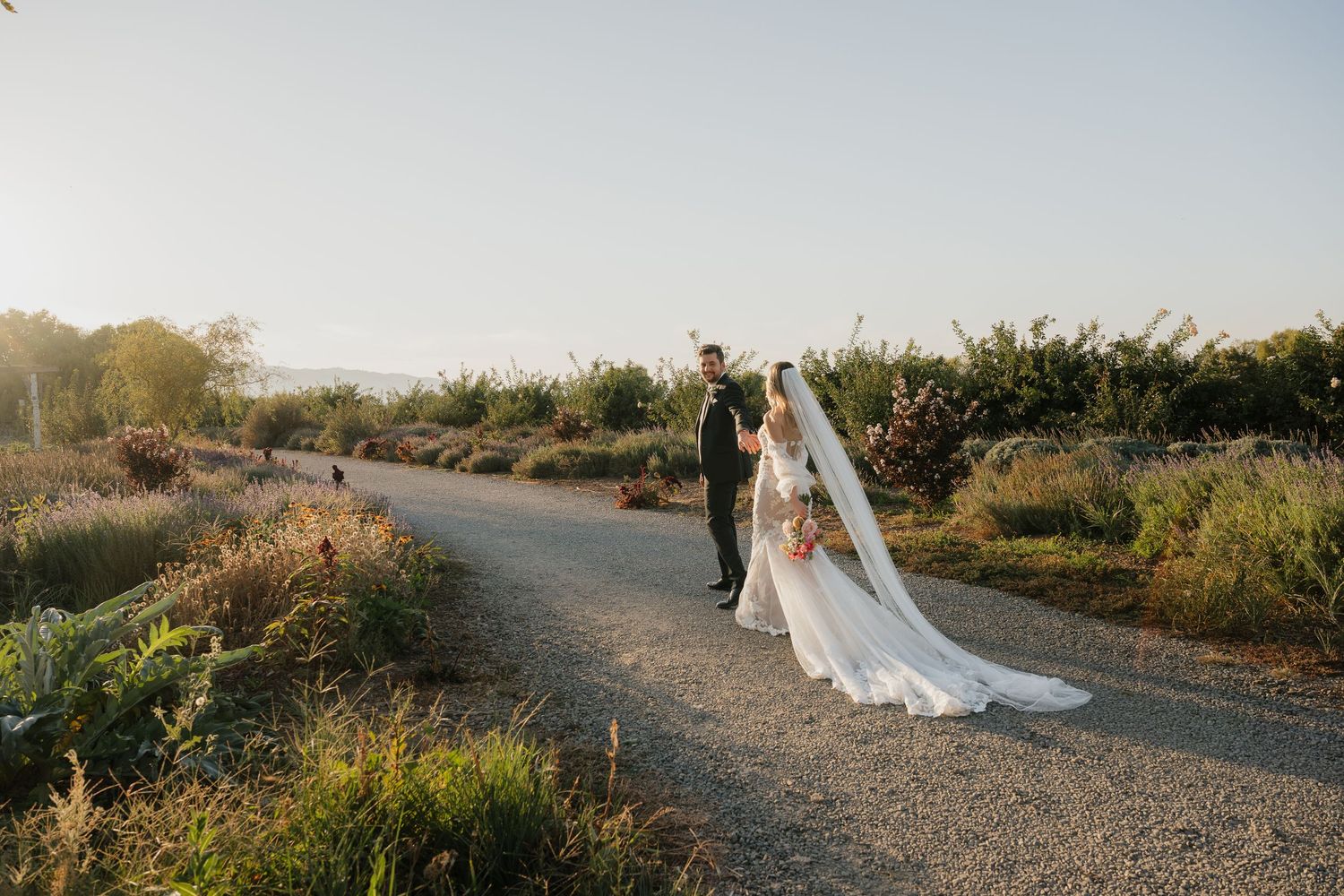 A couple in wedding attire walks along a scenic desert path during golden hour at sunset.