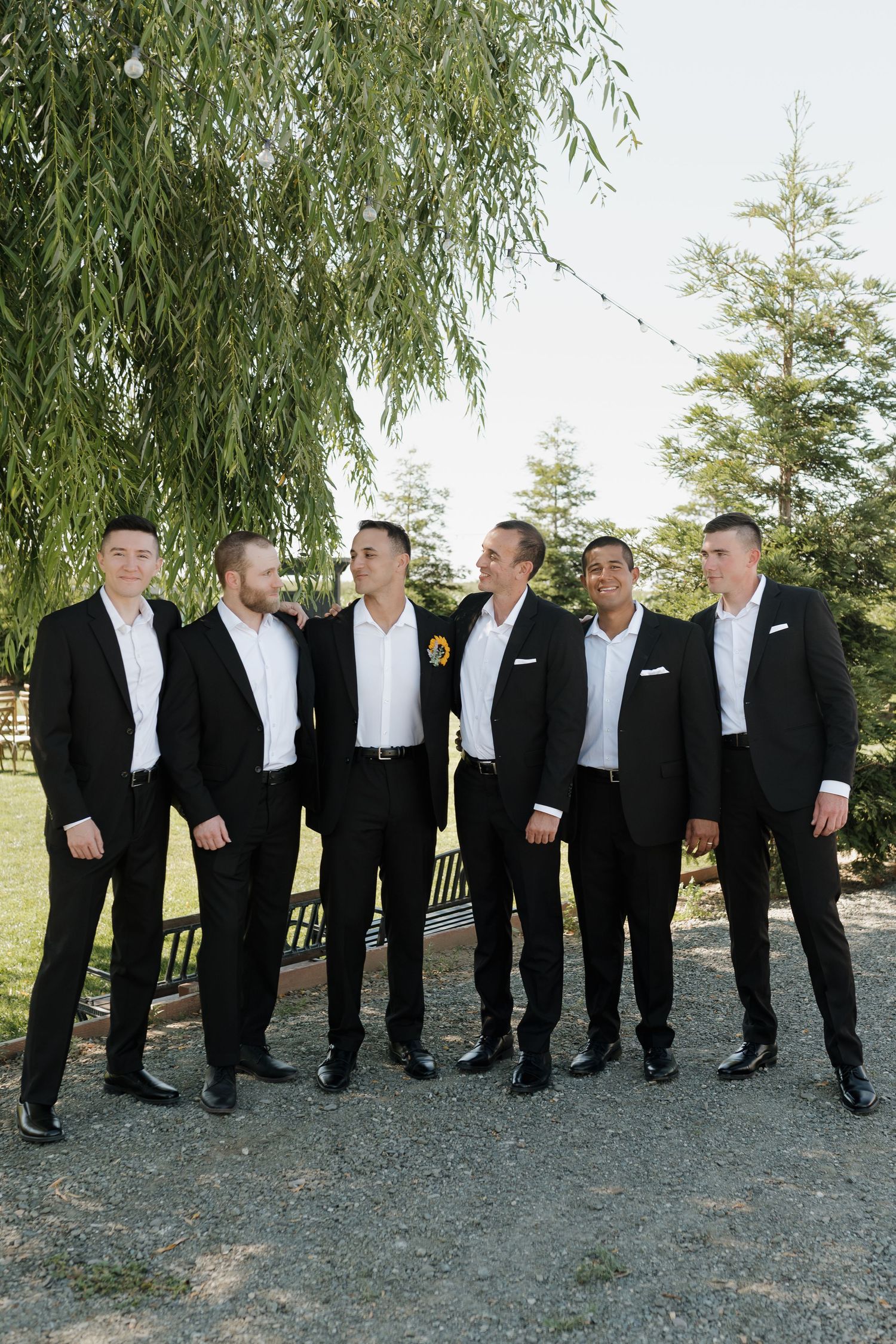 Groomsmen in black tuxedos line up under willow trees for wedding photo.