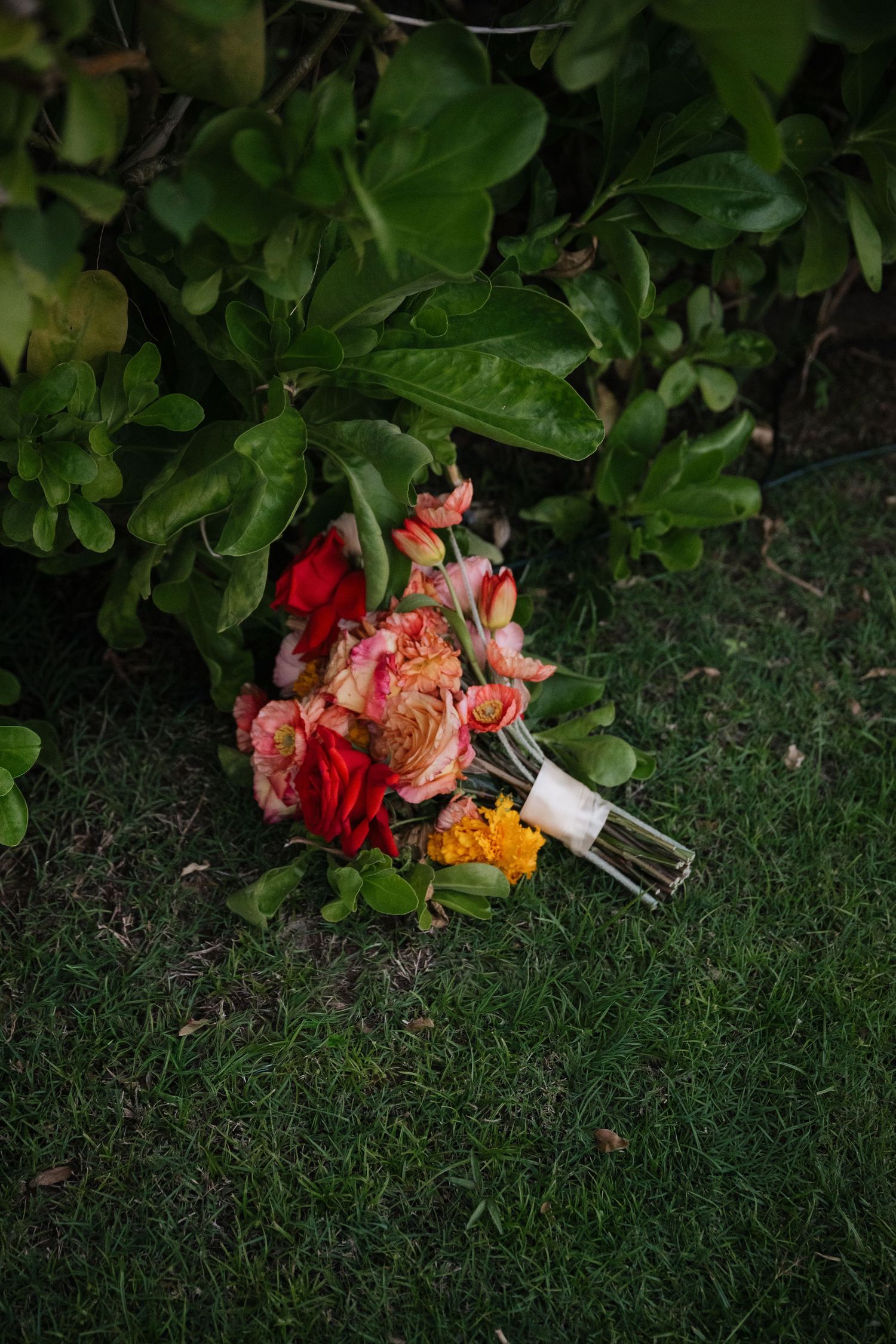 Colorful wedding bouquet with red and peach flowers lying on lush green grass.