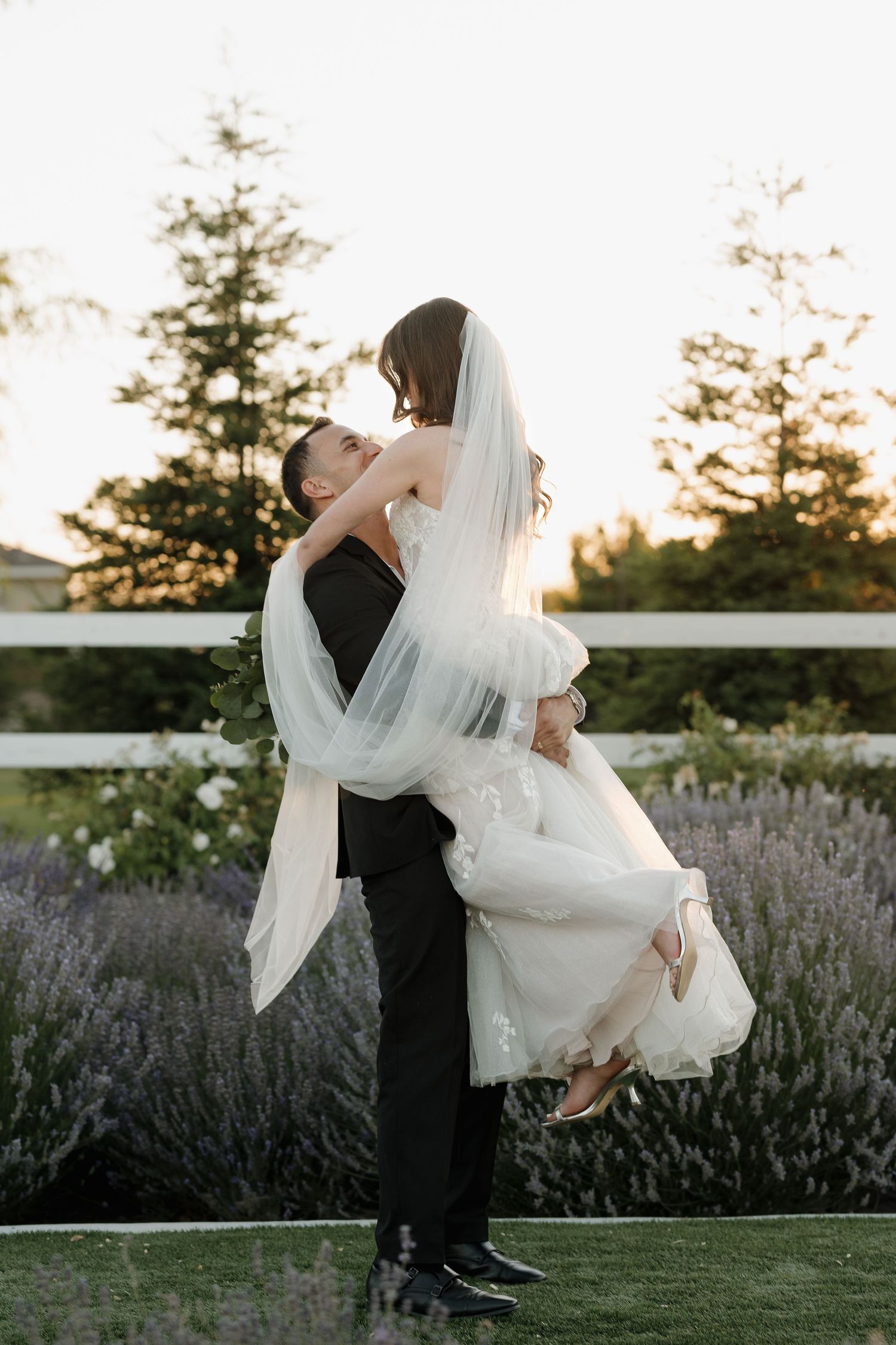 Dramatic dip pose captured between couple in formal attire surrounded by flowering lavender bushes.