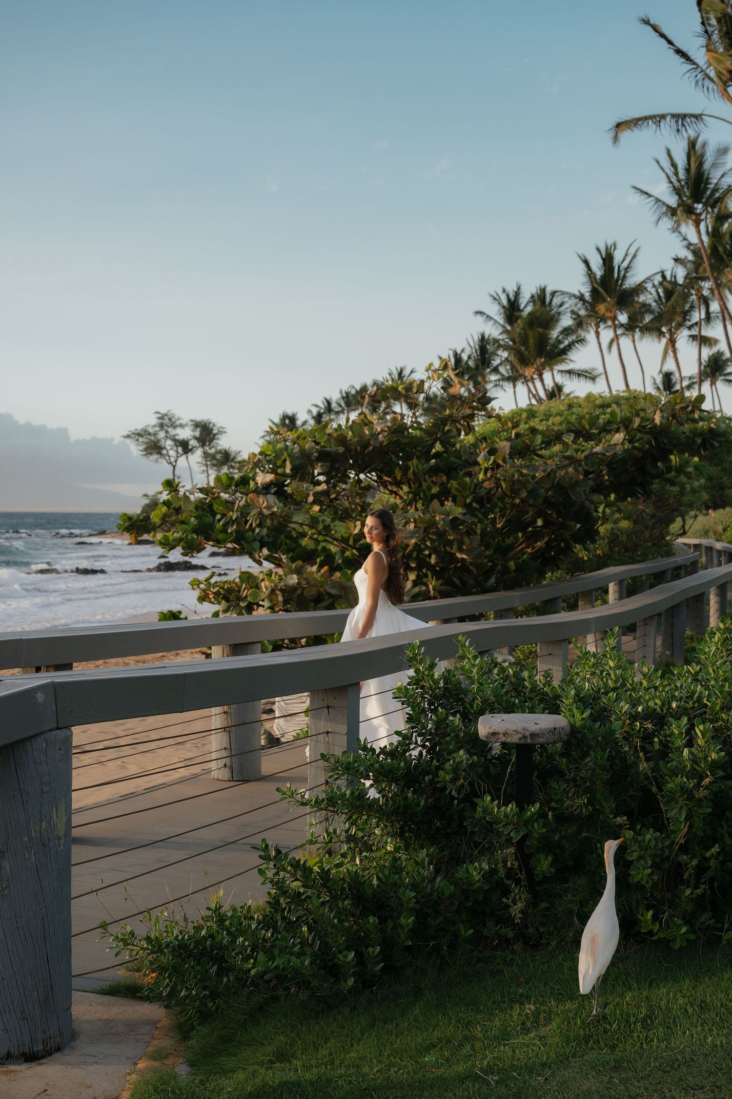 Tropical beachside wedding scene with palm trees and ocean views along a wooden boardwalk.