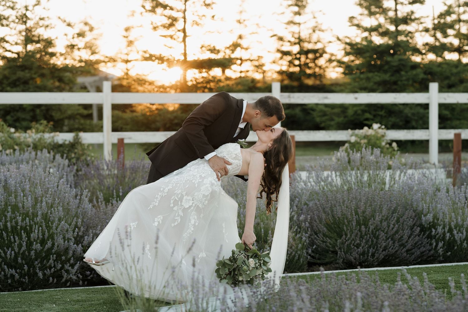White fence and lavender field create a romantic backdrop during golden hour.