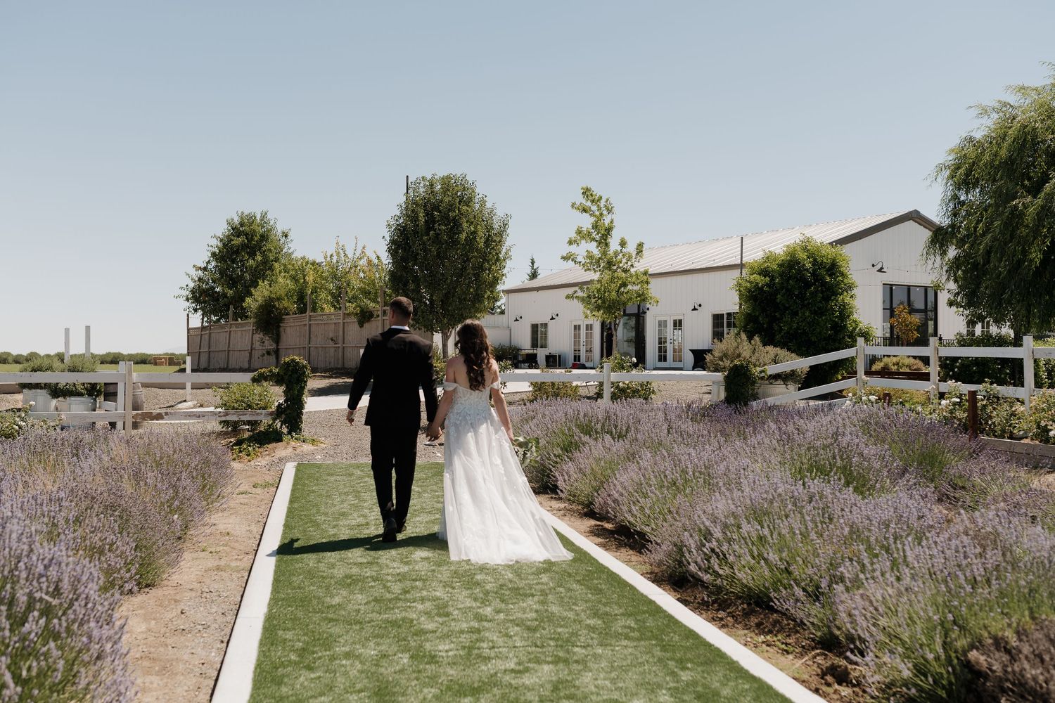 Wide view of wedding venue garden path with lavender borders and green lawn.