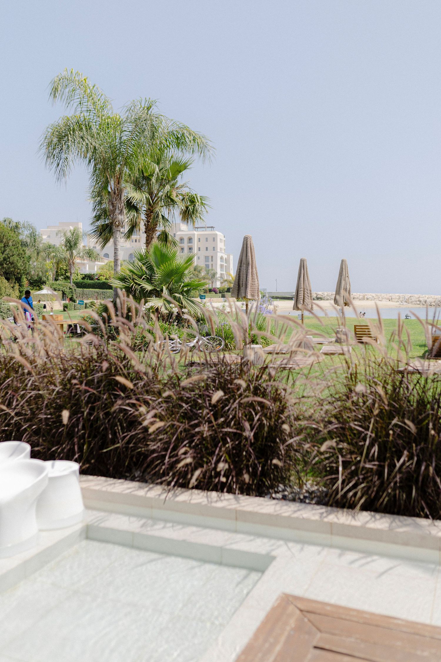 Luxury resort pool area overlooking palm trees, ornamental grasses, and beach umbrellas on a sunny day.